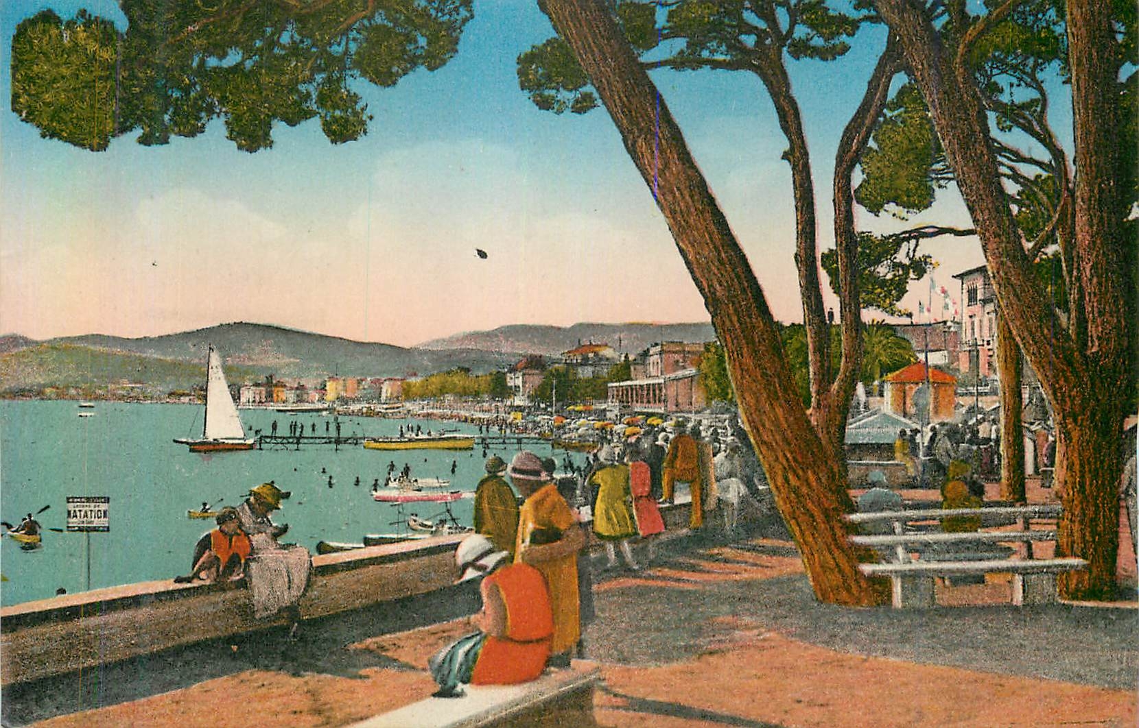 CPA Juan les Pins La Plage et la Pinede