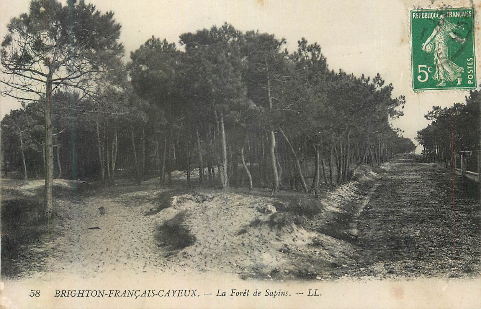 CPA Brighton Francais Cayeux La Foret de Sapins