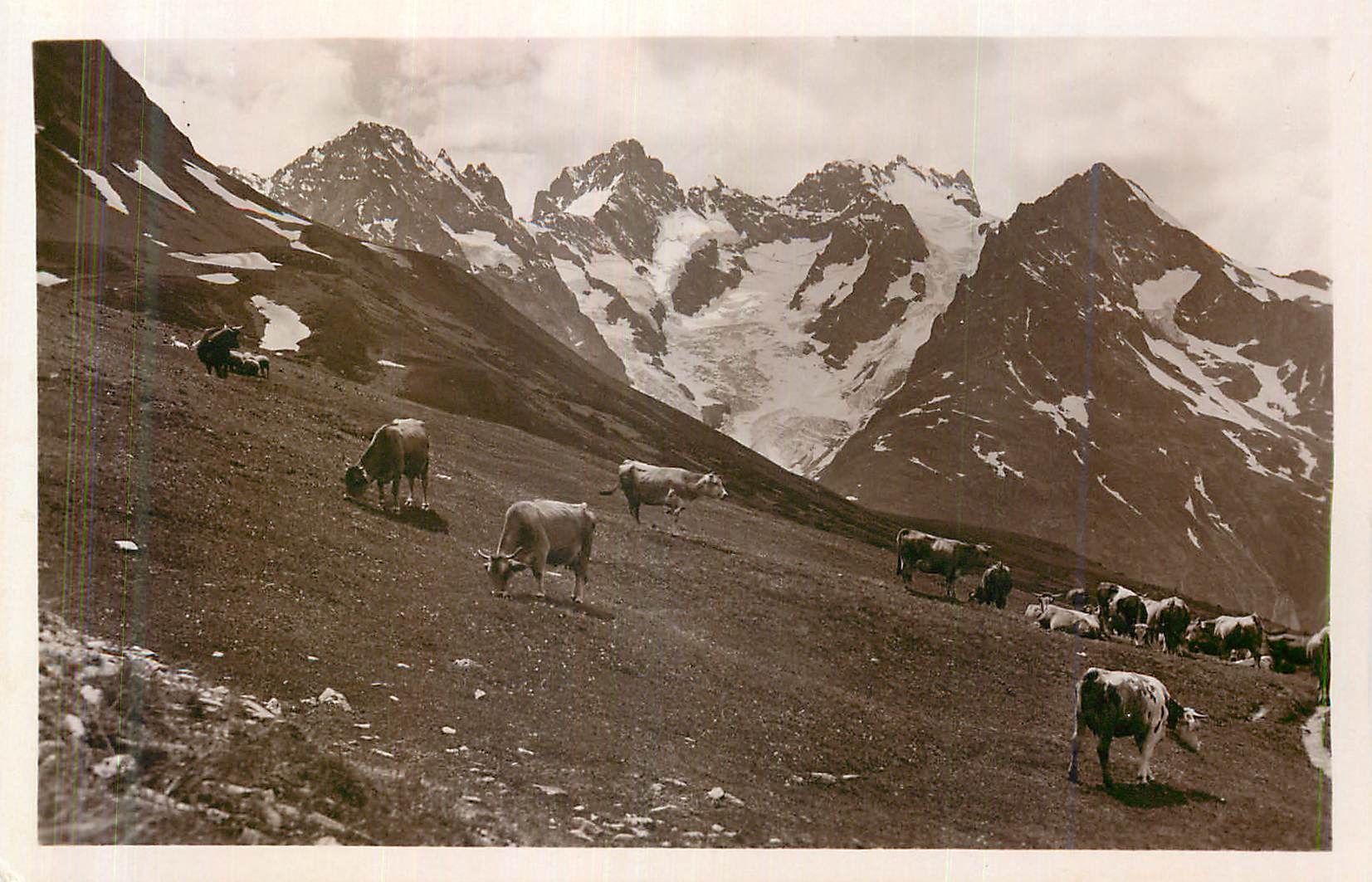 Pâturages du Lautaret — La Meige 3997 m — Ed. Rougny, Tabacs, Gap, Hautes-Alpes