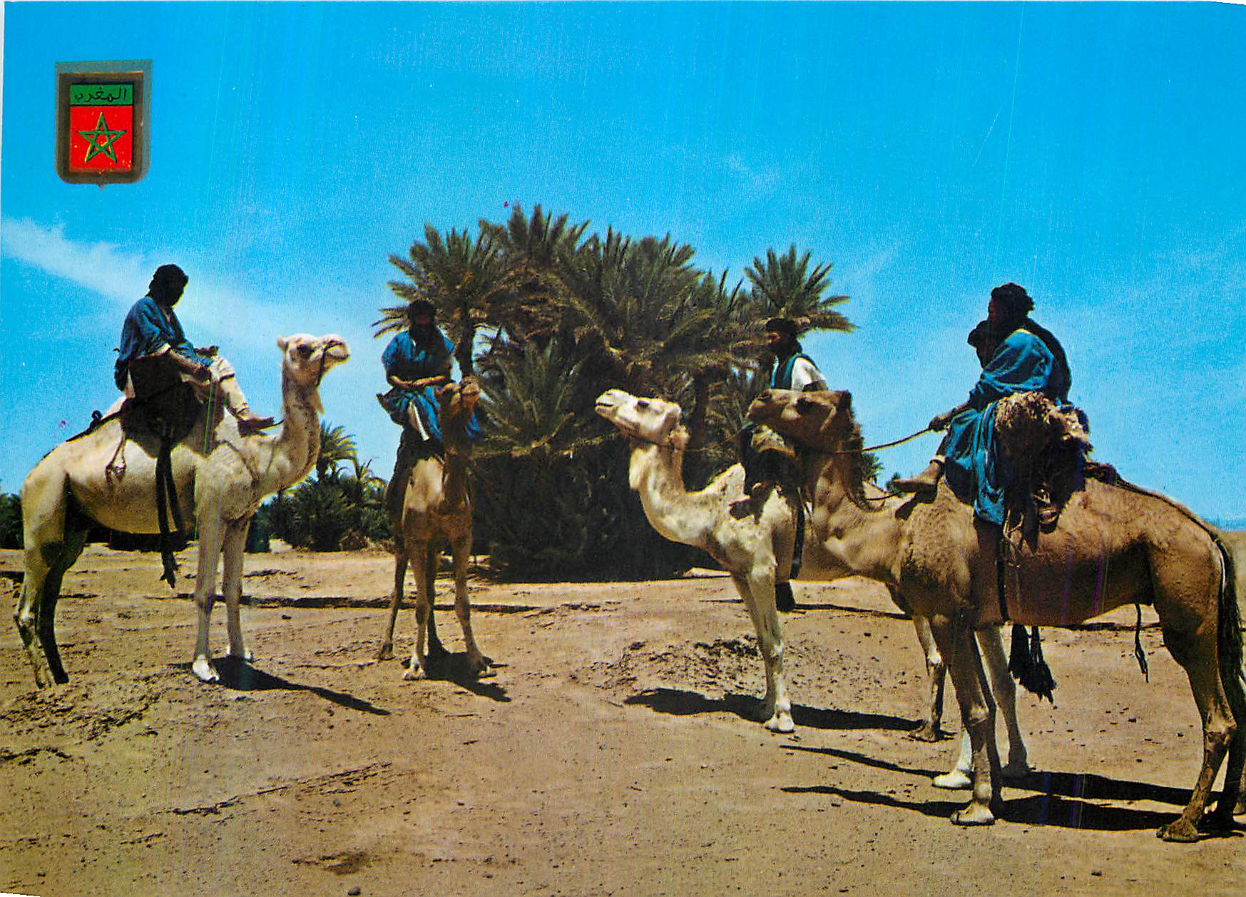 Caravane de M’Hamid — Maroc — Komaroc SA N°10