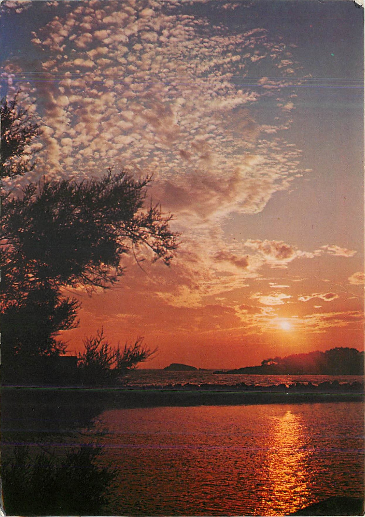 CPM Un Coucher de Soleil sur Les Bords de la Mediterranee