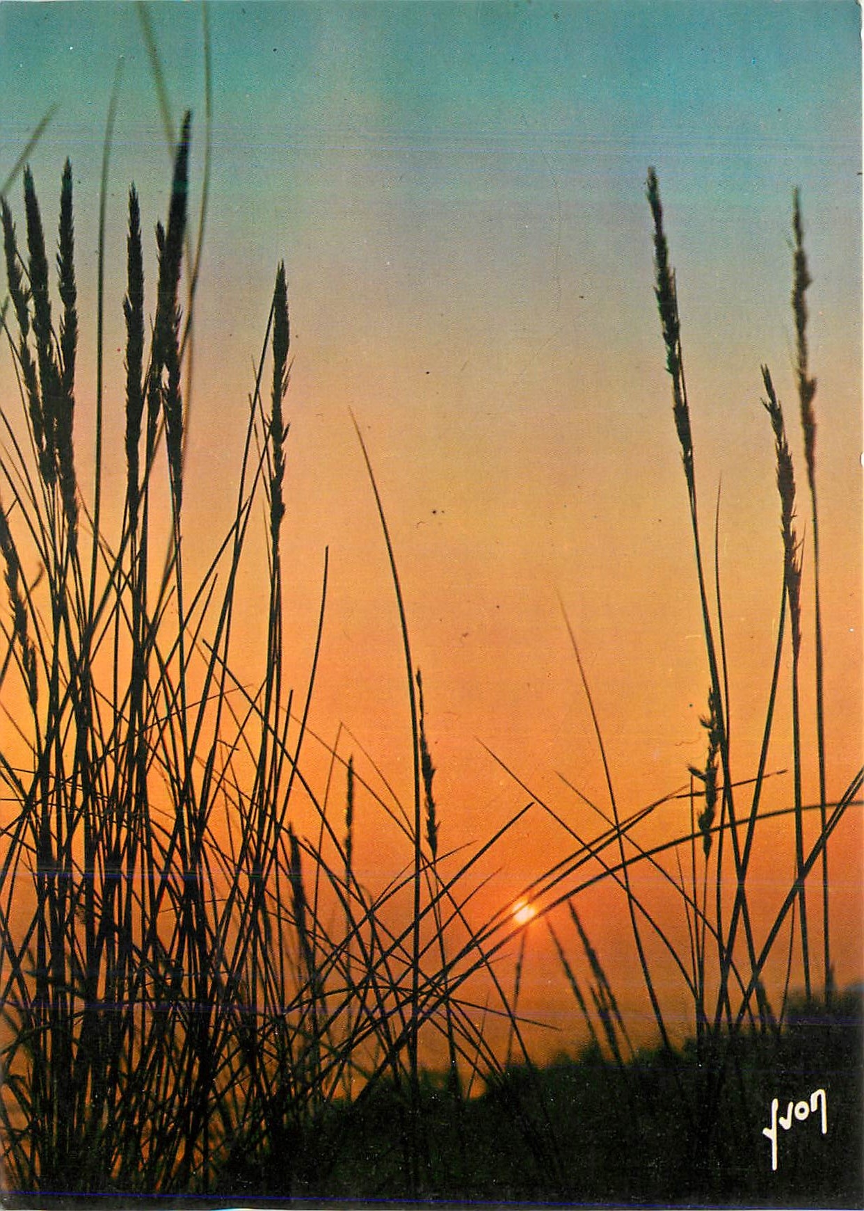 CPM Couleurs et Lumiere de France Coucher de Soleil
