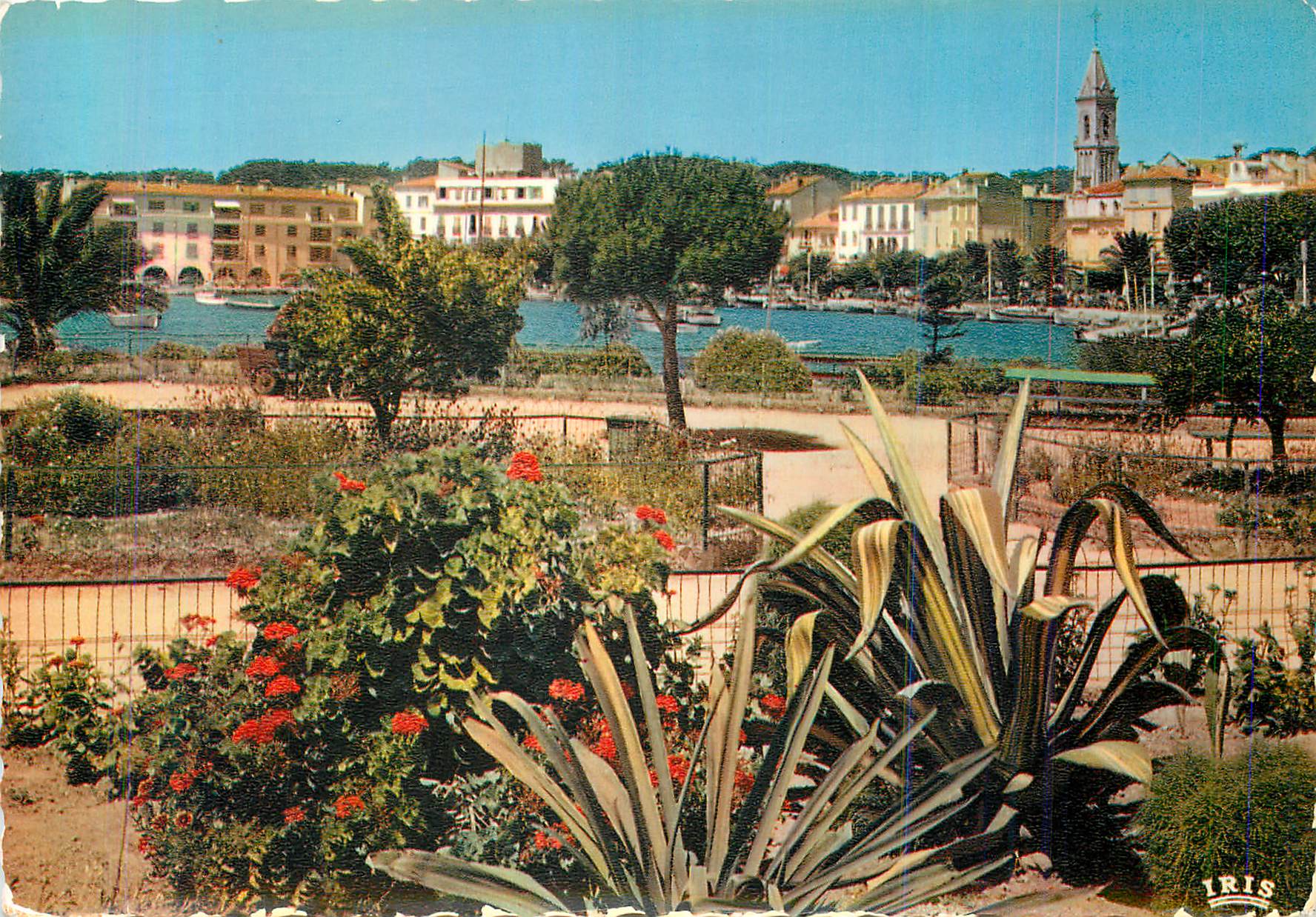 CPM Sanary sur Mer (Varr) Reflets de Provence Les Jardins et le Port