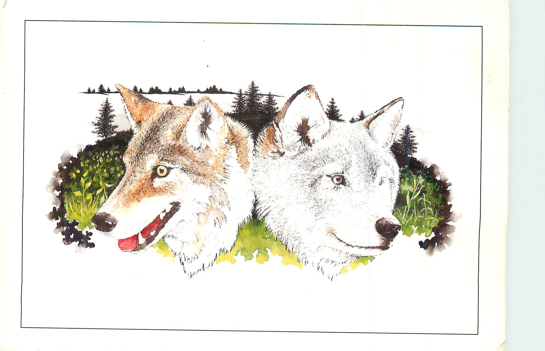 CPM Le Loup Les Detracteurs ont Voulu que la Bete du Gevaudan soit un Loup