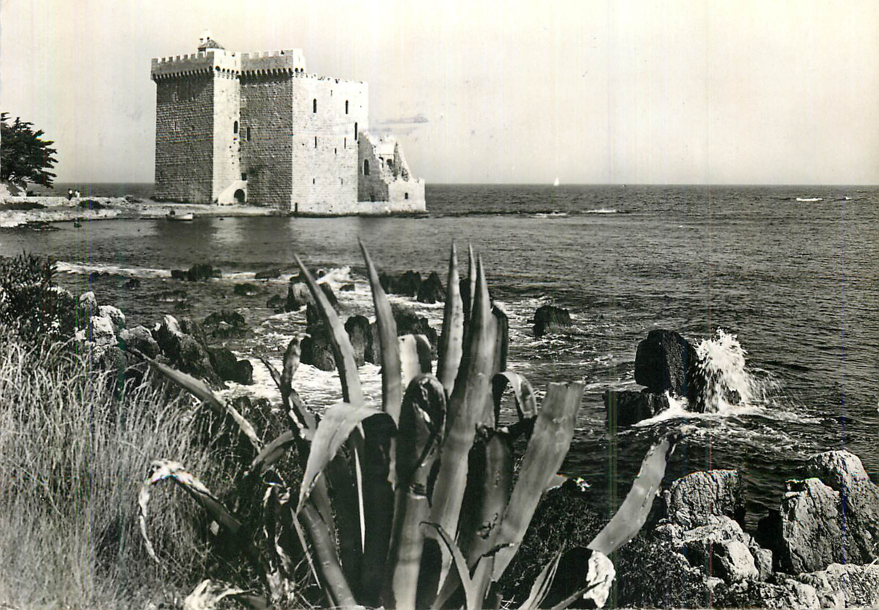 CPA Environs de Cannes Ruines de Vieux Chateau Fortifie de l'Abbaye de Lerins
