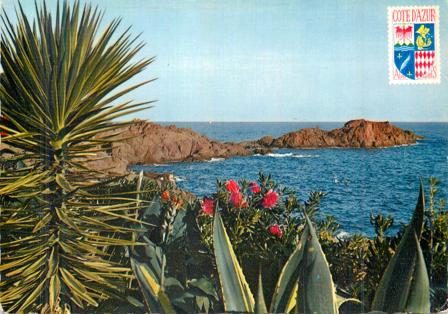 CPM Cote d'Azur Carrefour Mondial du Tourisme Flore Exotique dans L'Esterel au Loin Les Recifs de Porphyre Rouge