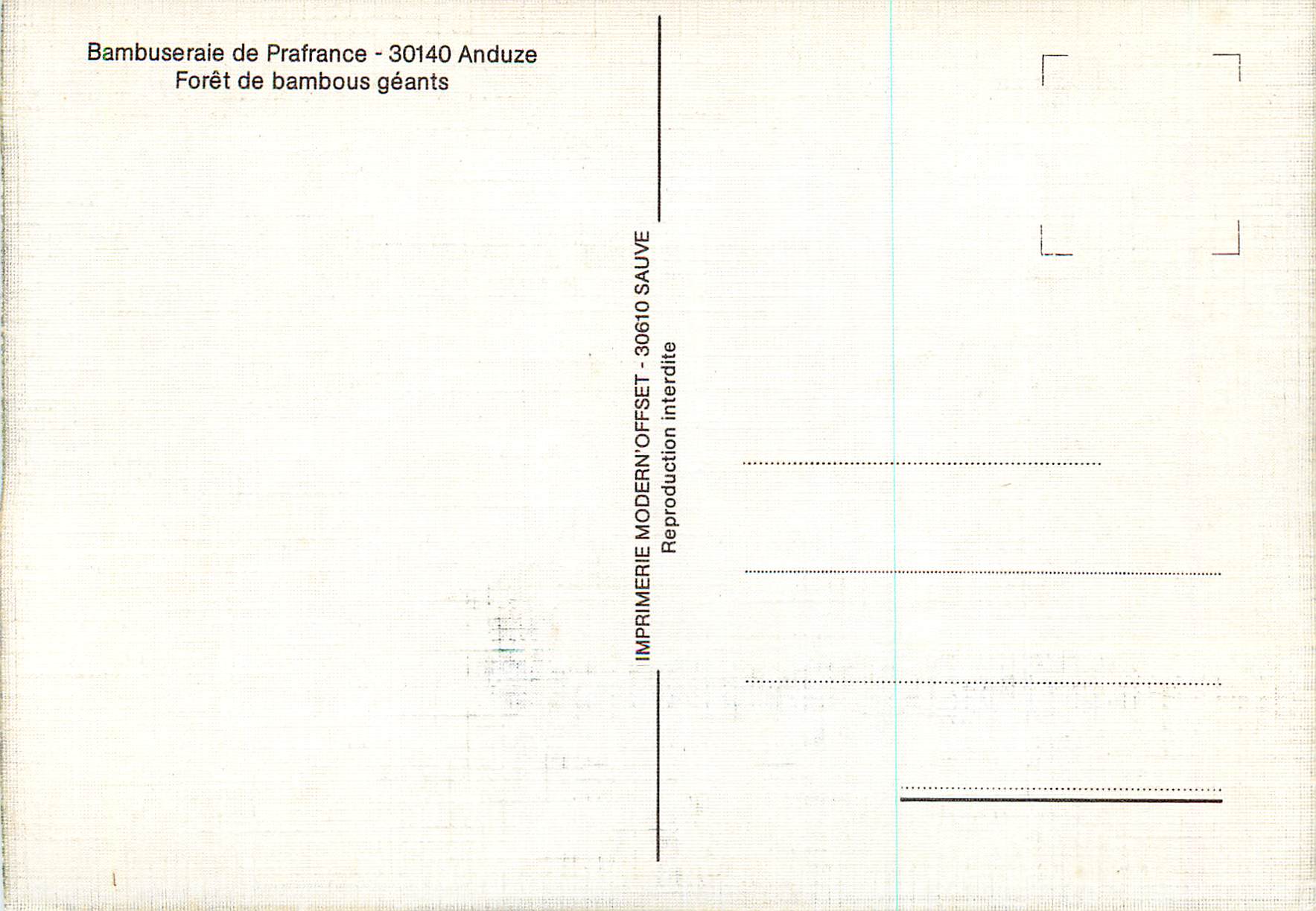 CPM Bambuseraie de Prafrance Anduze Foret de Bambous Geants — Rückseite