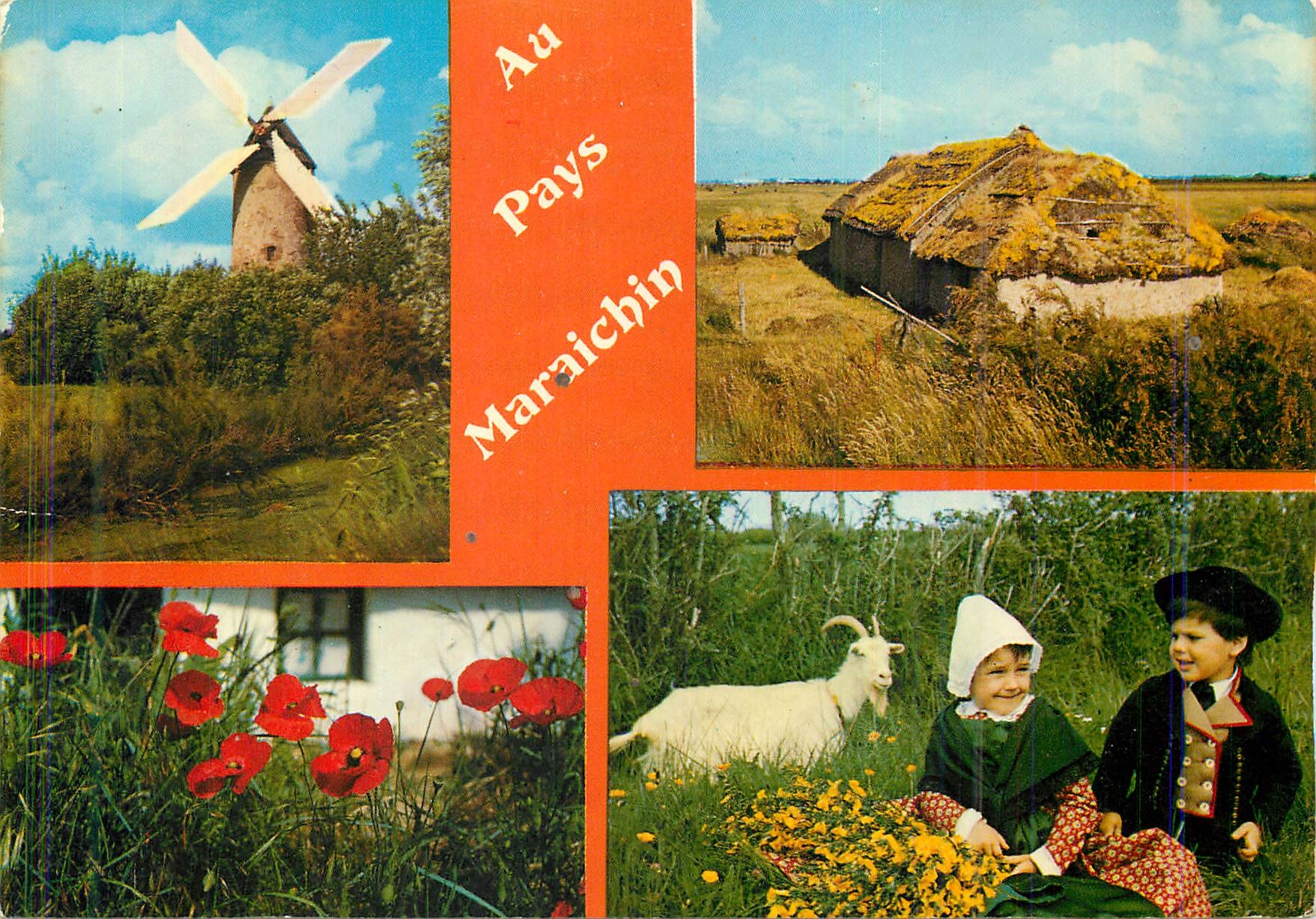 CPM Le Marais La Vandee Touristique Chevre Moulin