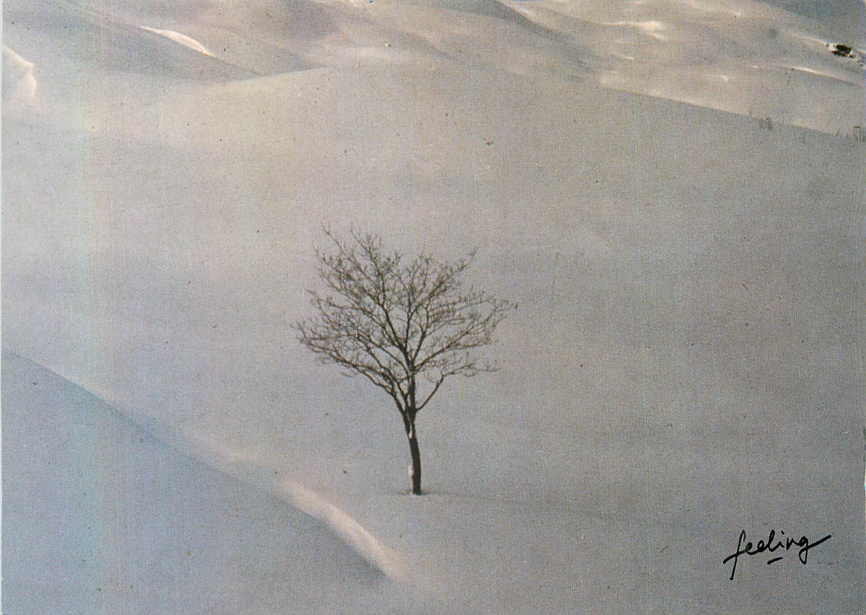 CPM le Grand Silence Blanc Roger Gaide la Rosiere
