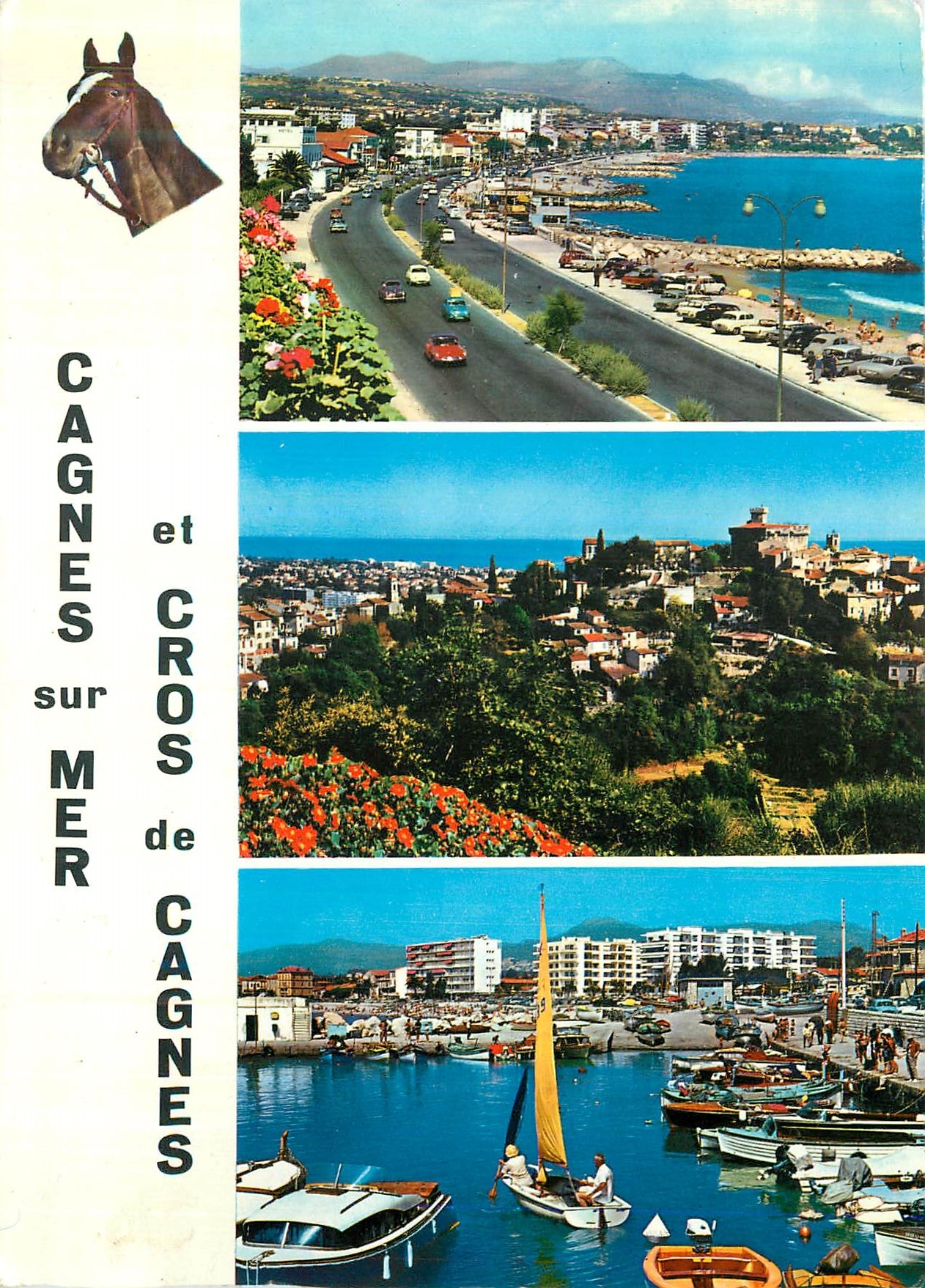 CPM Cagnes sur Mer et Cros de Cagnes Cote d'Azur Cheval