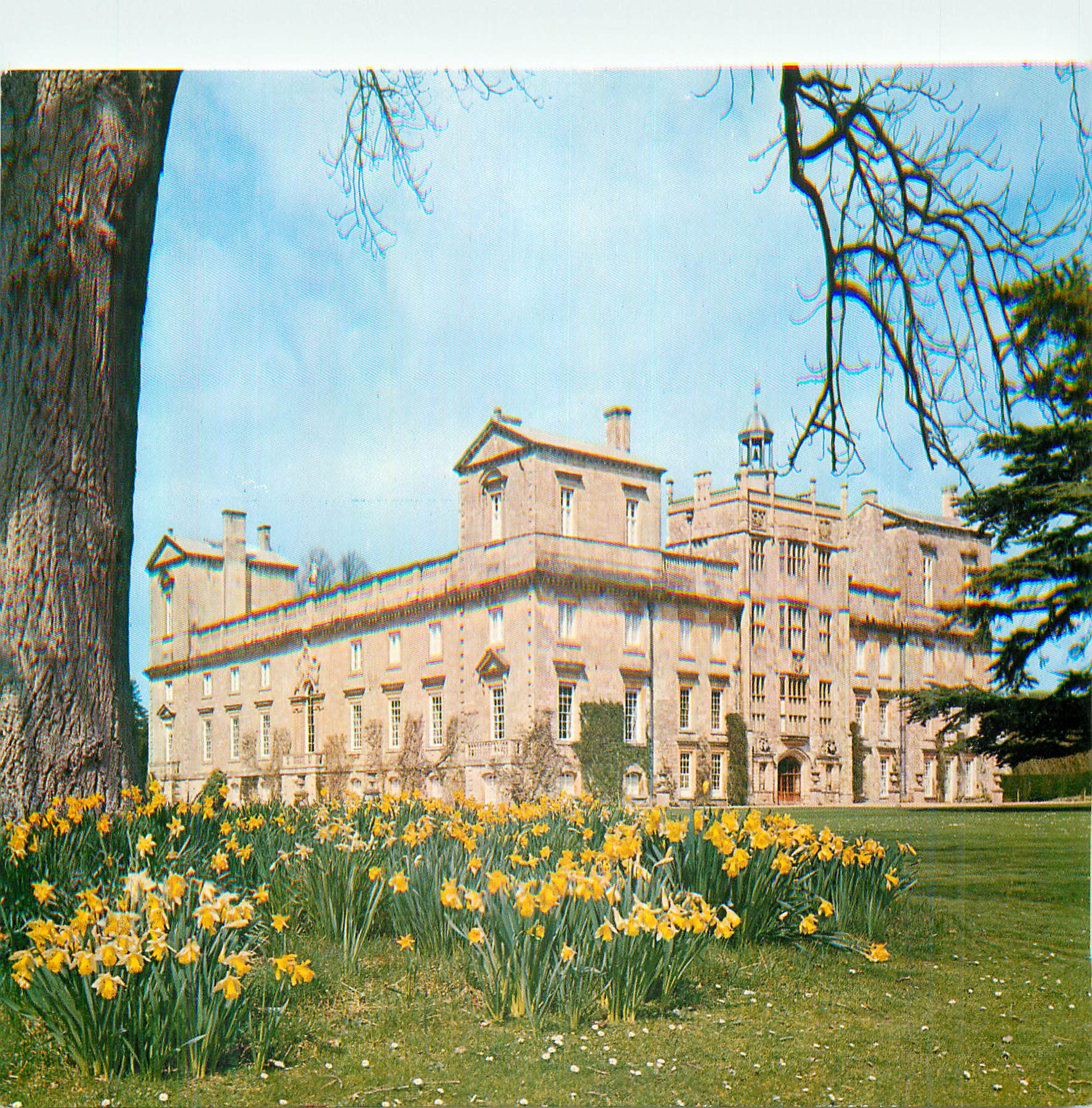 CPM Wilton House South East View in Spring Time