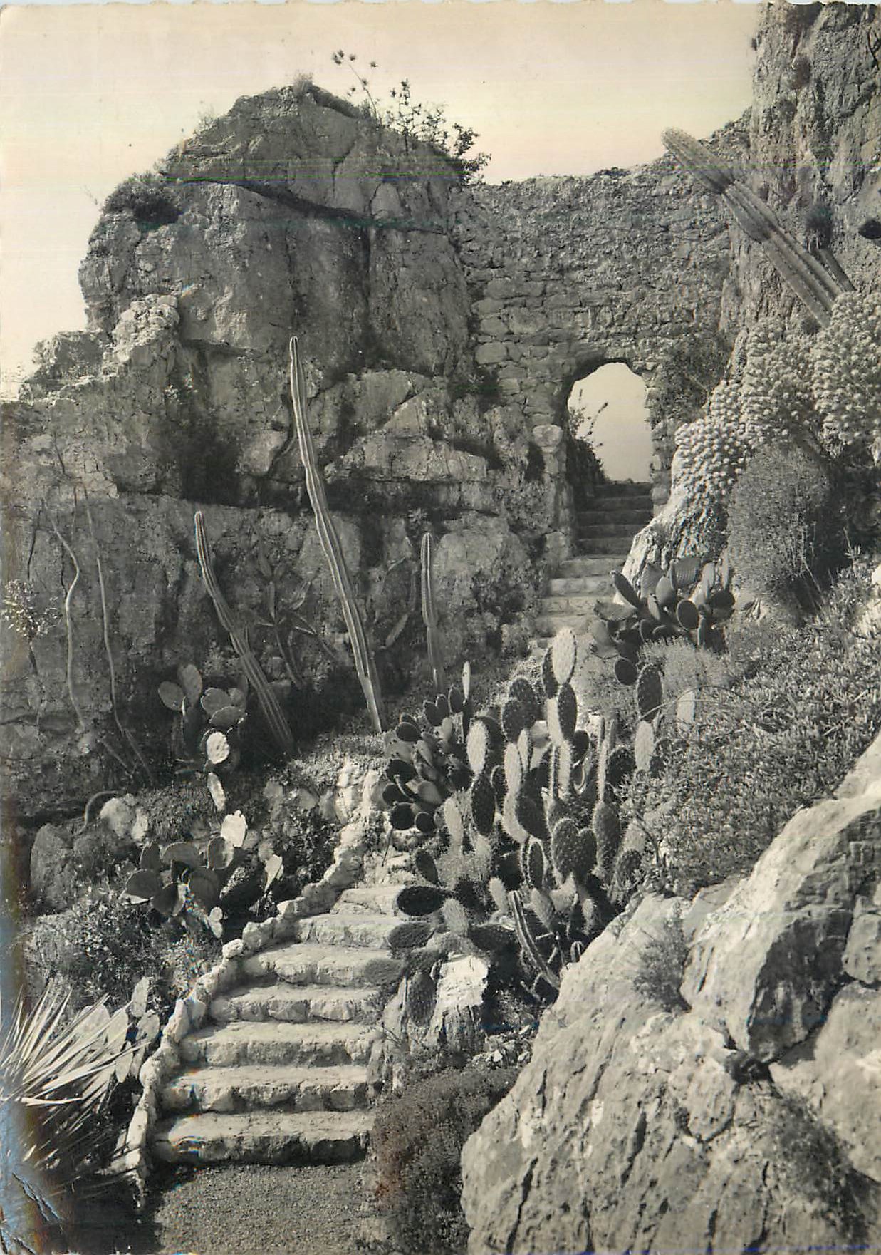 CPM Eze Village Cote d'Azur le Jardin Exotique