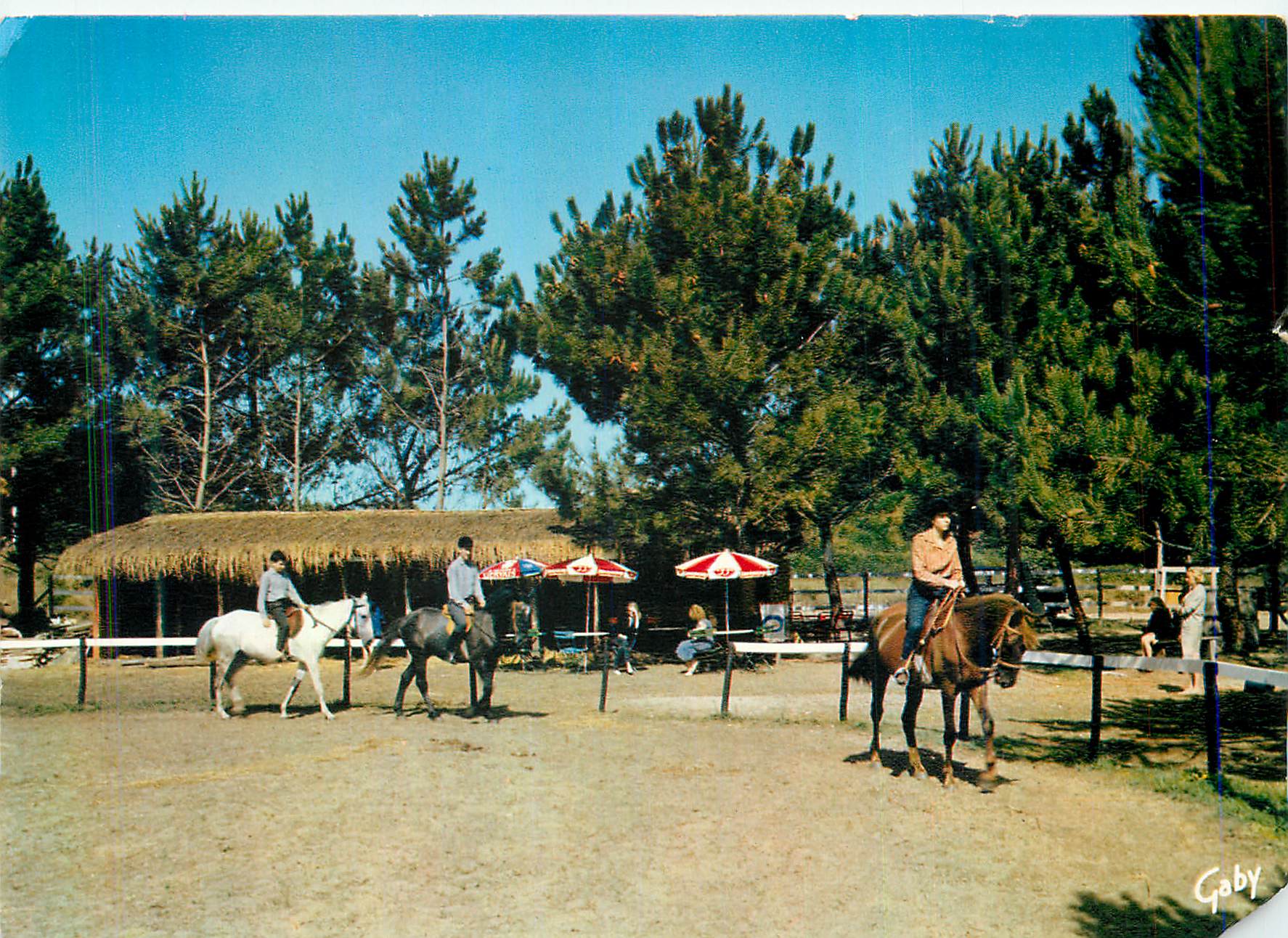 CPM Ile d'Oleron (Ch Mme) Manege de Maison Rouge Saint Trojan les Bains Chevaux
