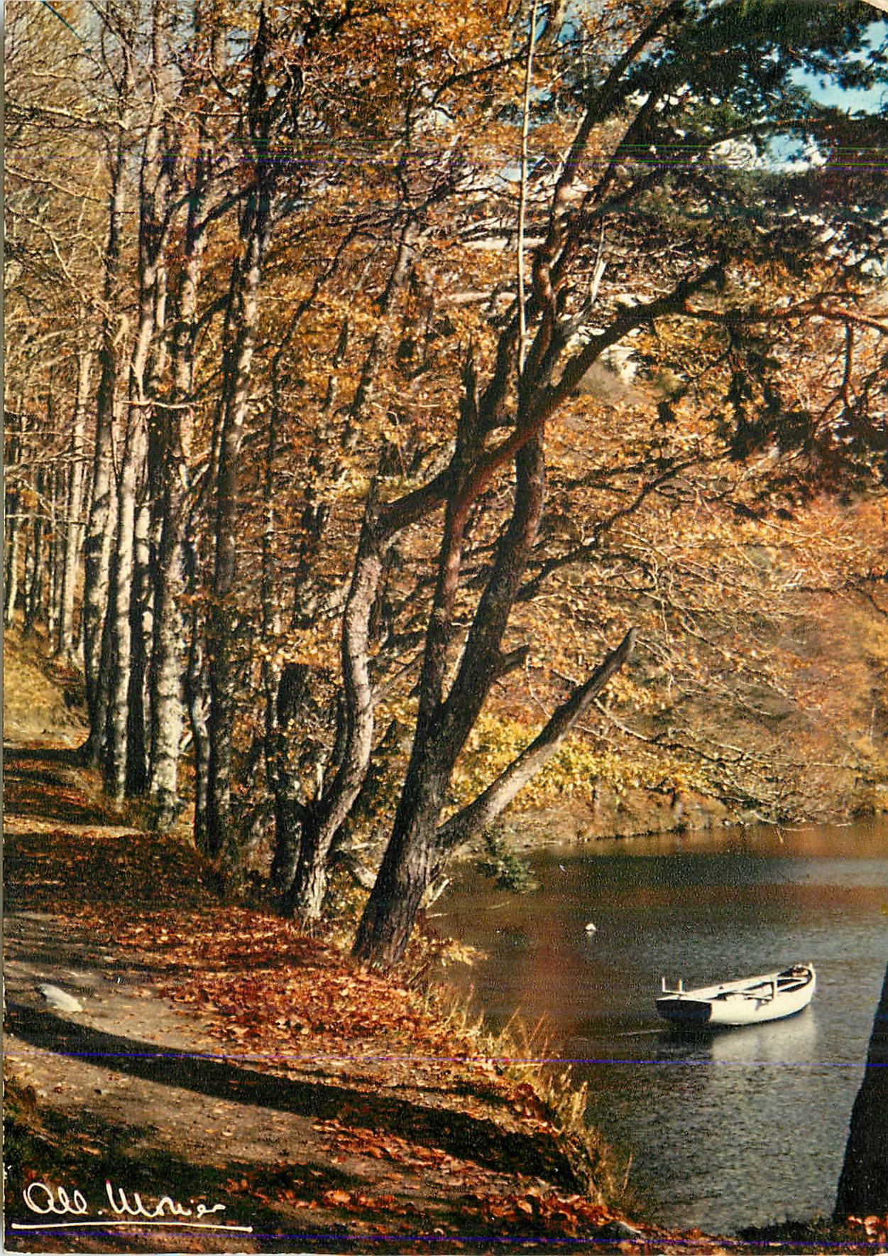 CPM Environs de Super Besse (Puy de Dome) l'Automne au Lac Pavin