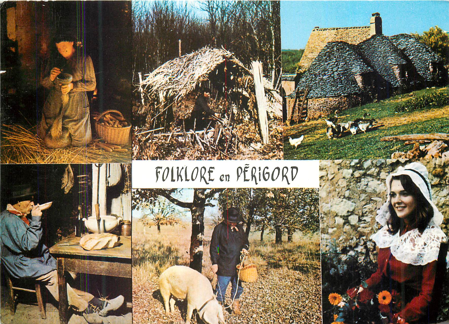 CPM Folklore en Perigord Gaveuse d'Oie Feuillardier Village de Cabanes Cochon Porc