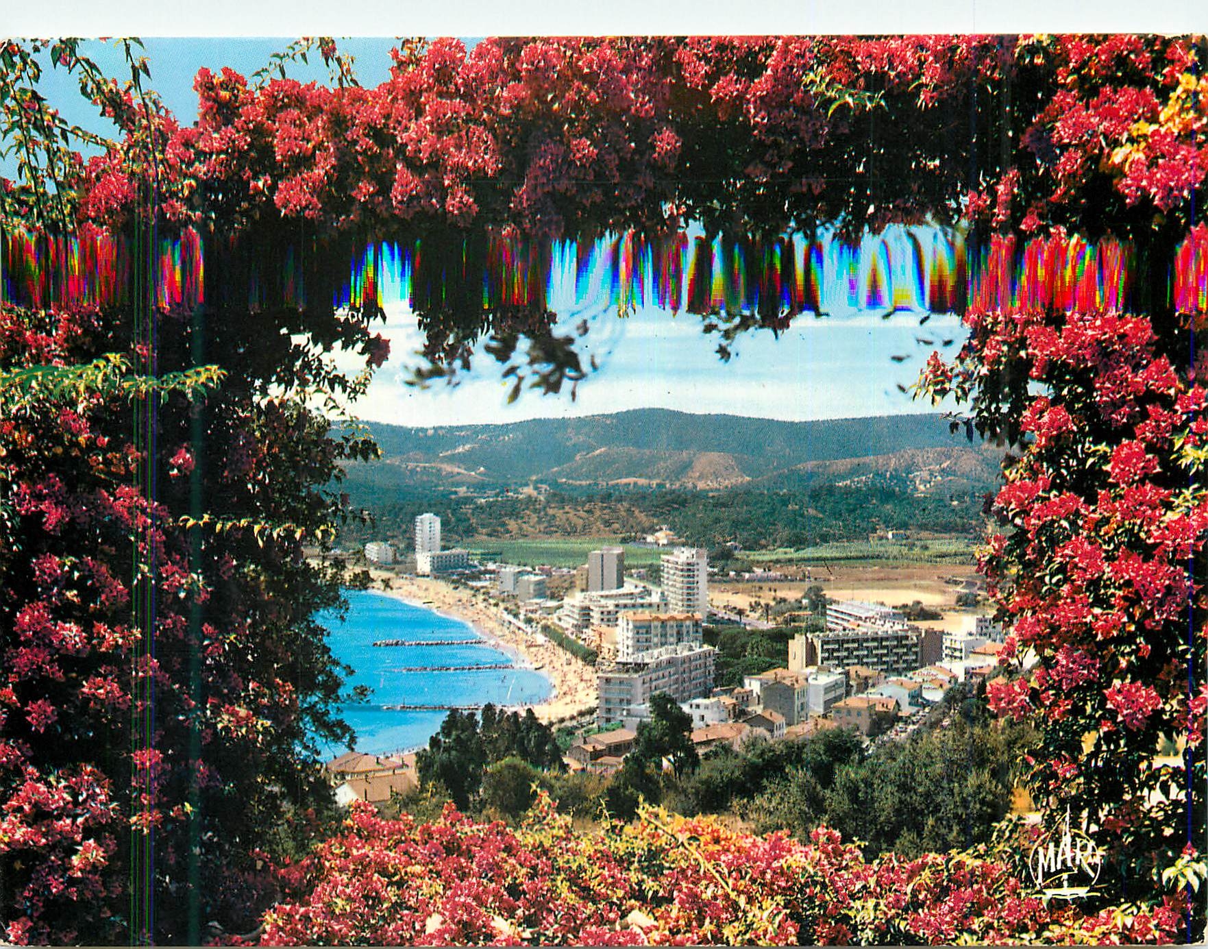 CPM le Lavandou la Cote d'Azur Vue Generale