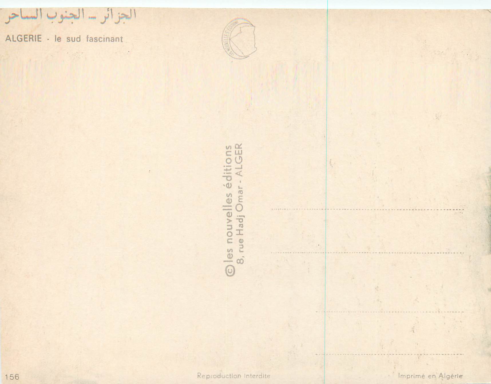 CPM Algerie le Sud Fascinant Chameaux — Rückseite