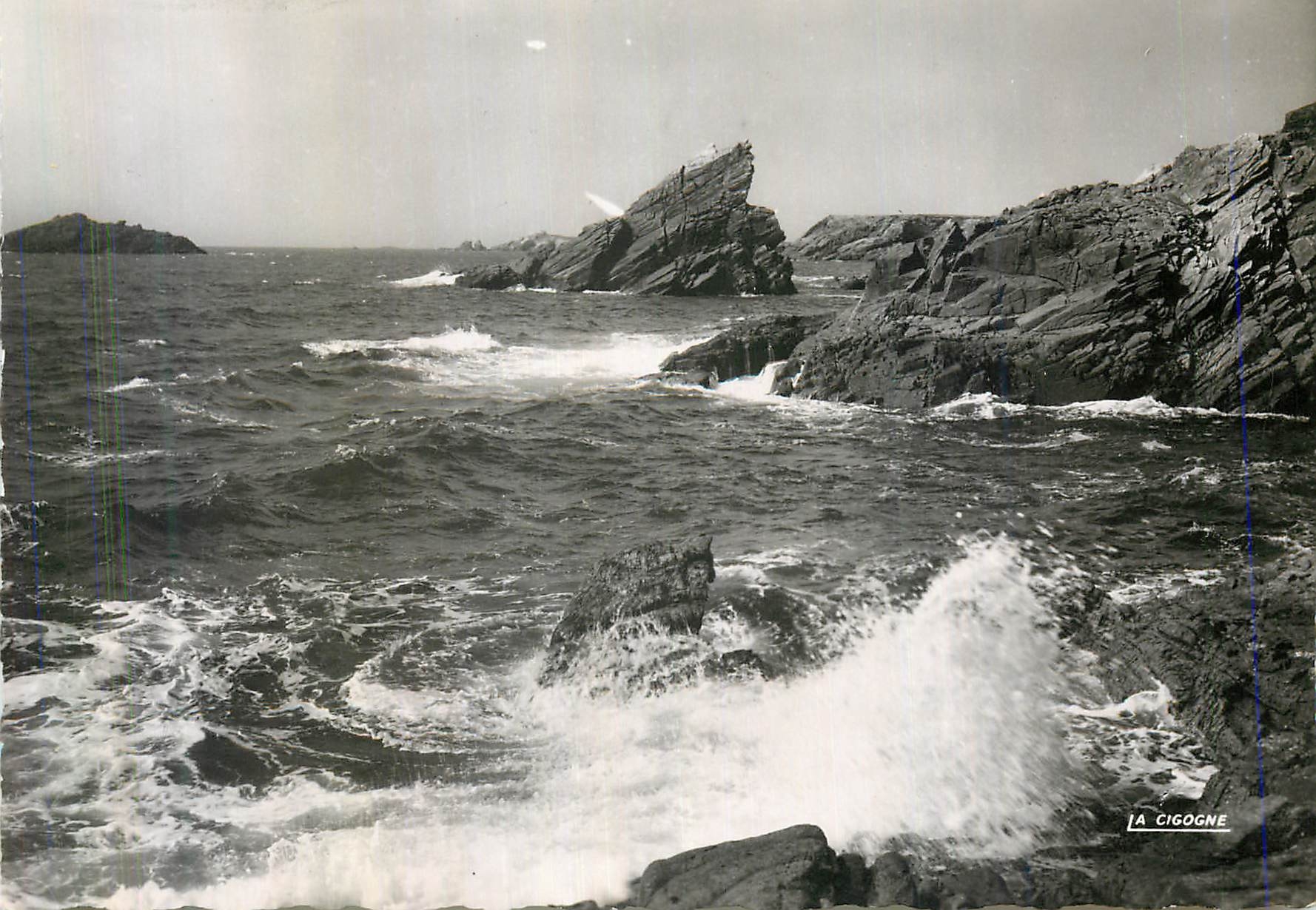 CPM Quiberon (Morbihan) la Cote Sauvage a la Pointe de Kervihan