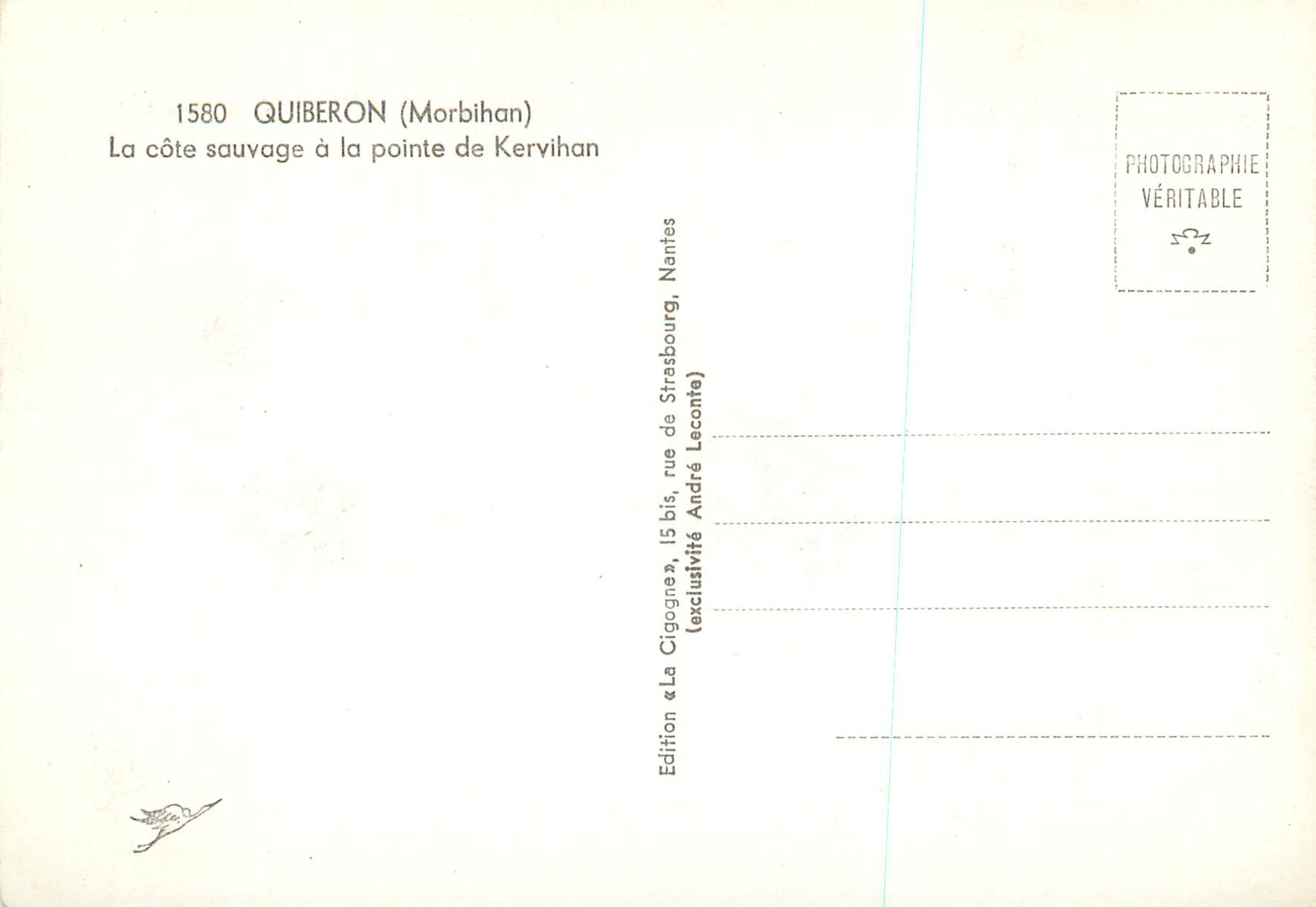 CPM Quiberon (Morbihan) la Cote Sauvage a la Pointe de Kervihan — Rückseite