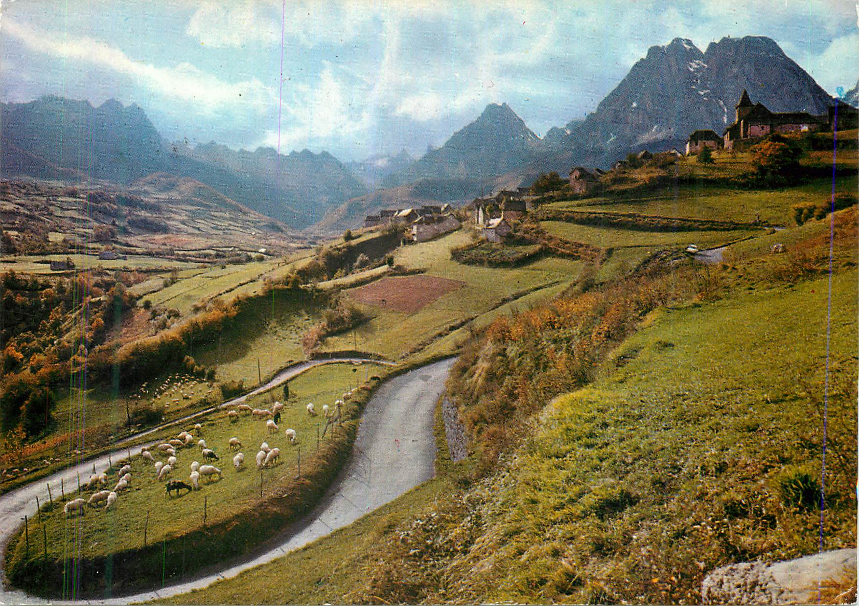 CPM Moutons dans les Lacets du Col d'Aspin Nos Belles Pyrenees