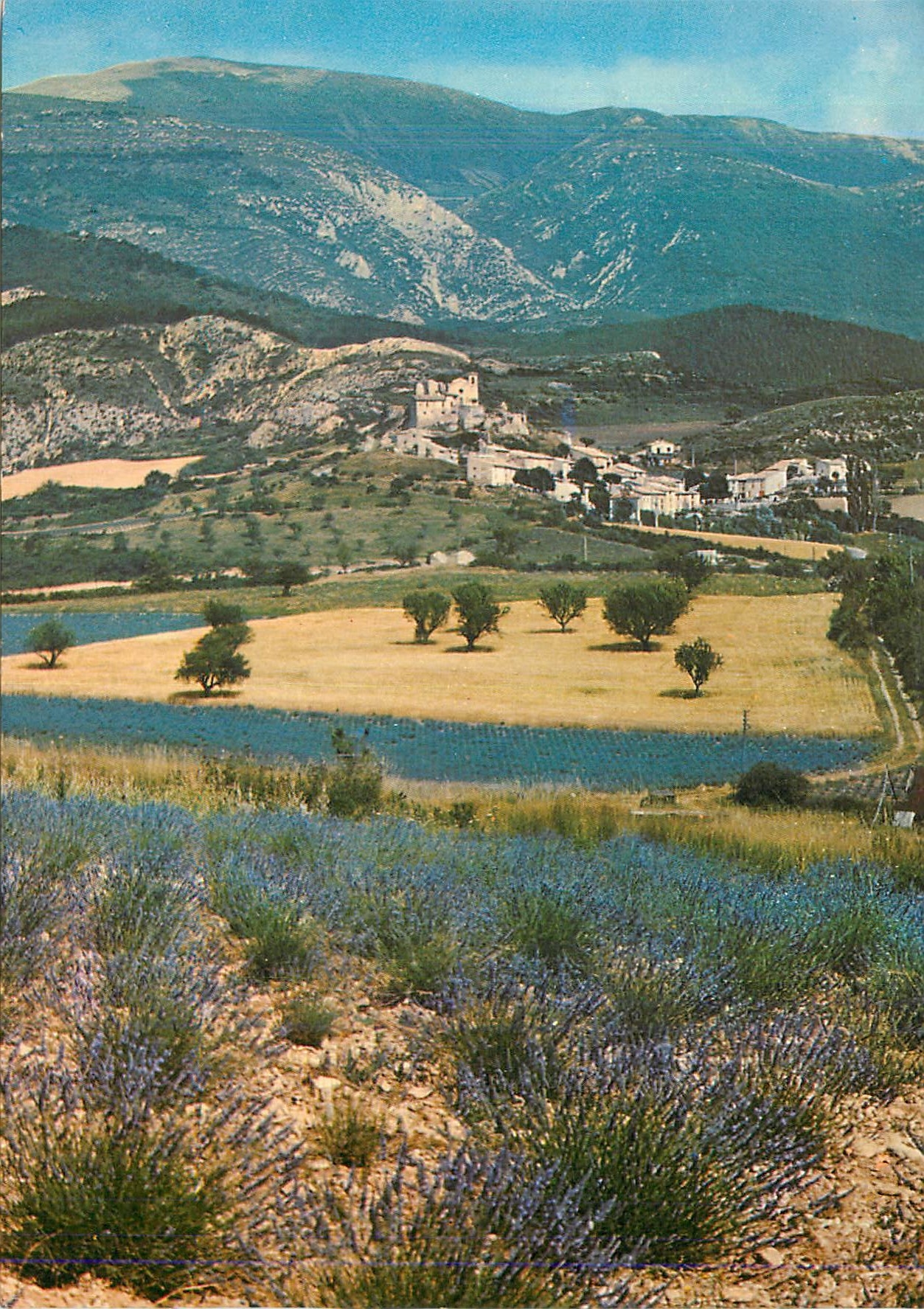 CPM Les Belles Images de Provence Vieux Village et ses Champs de Lavande