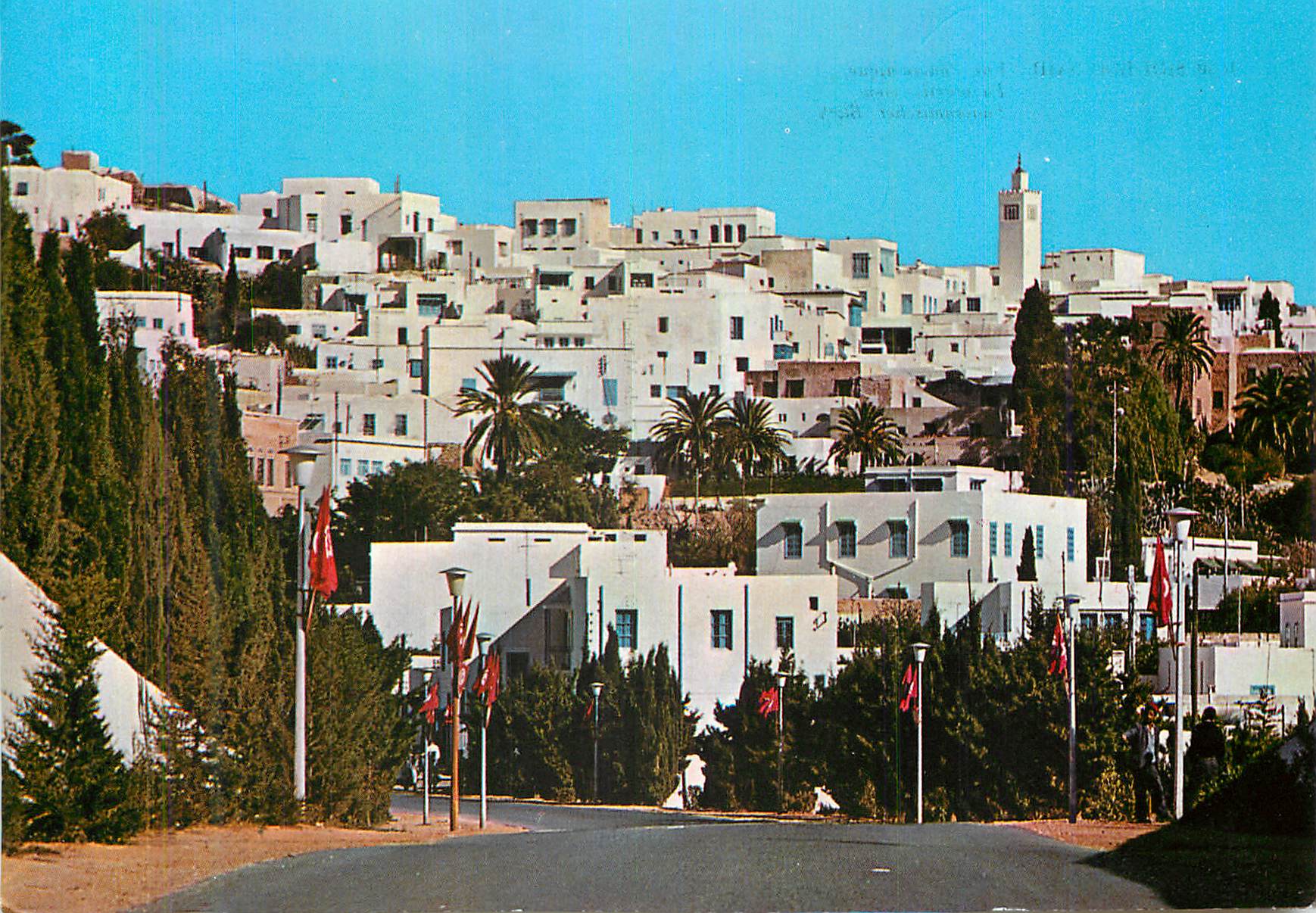 CPM Sidi Bou Said Tunisie Vue Panoramique