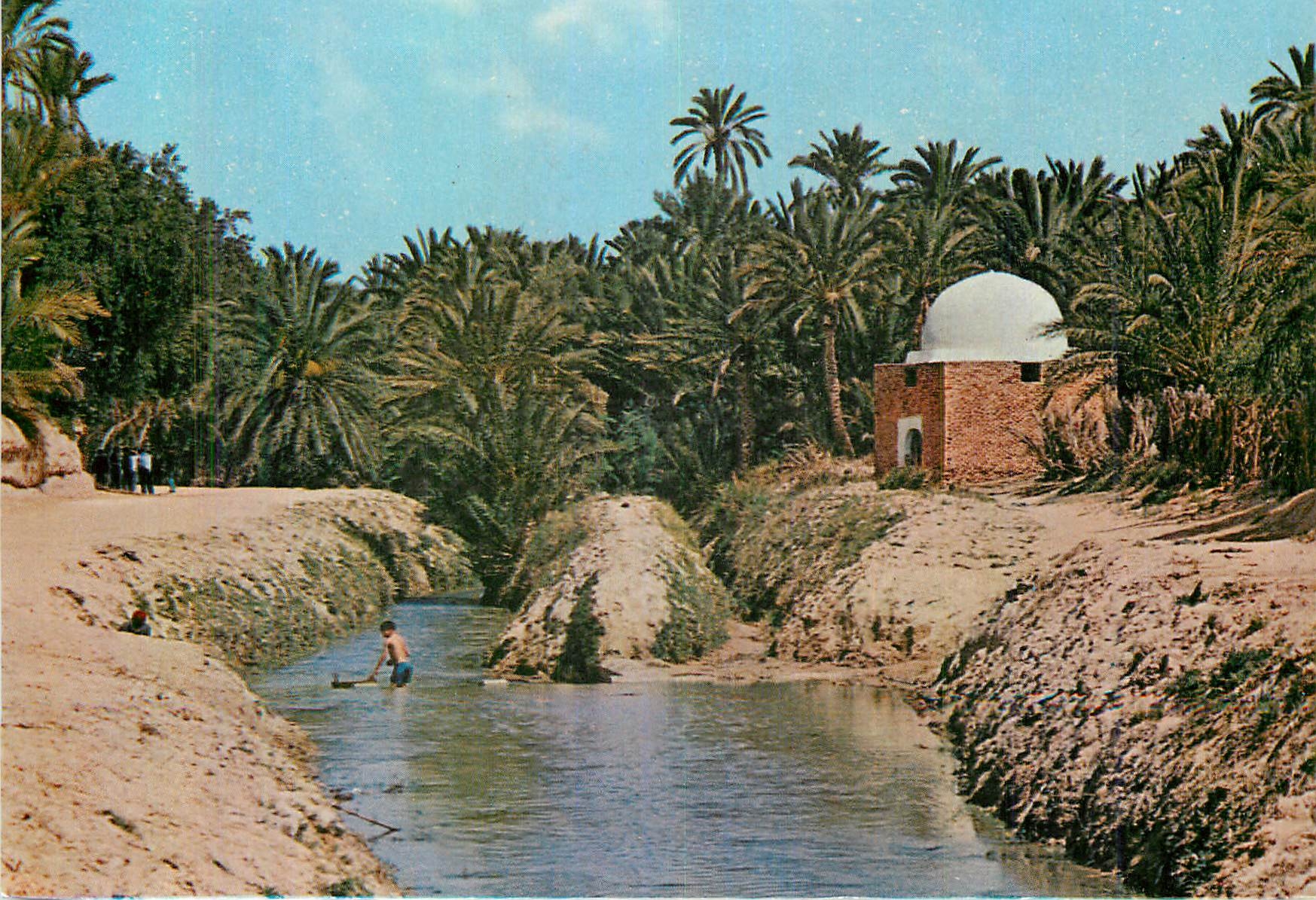 CPM Tozeur Riviere et Marabout dans l'Oasis
