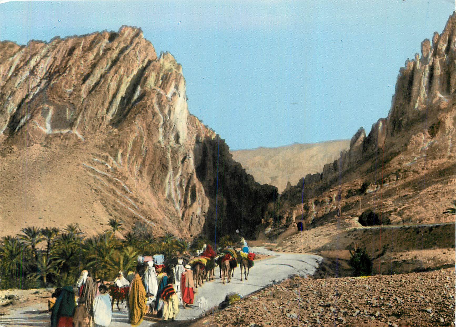 CPM Sud Algerien la Porte du Desert ou Porte d'Or (Cote Sud) Ane Donkey