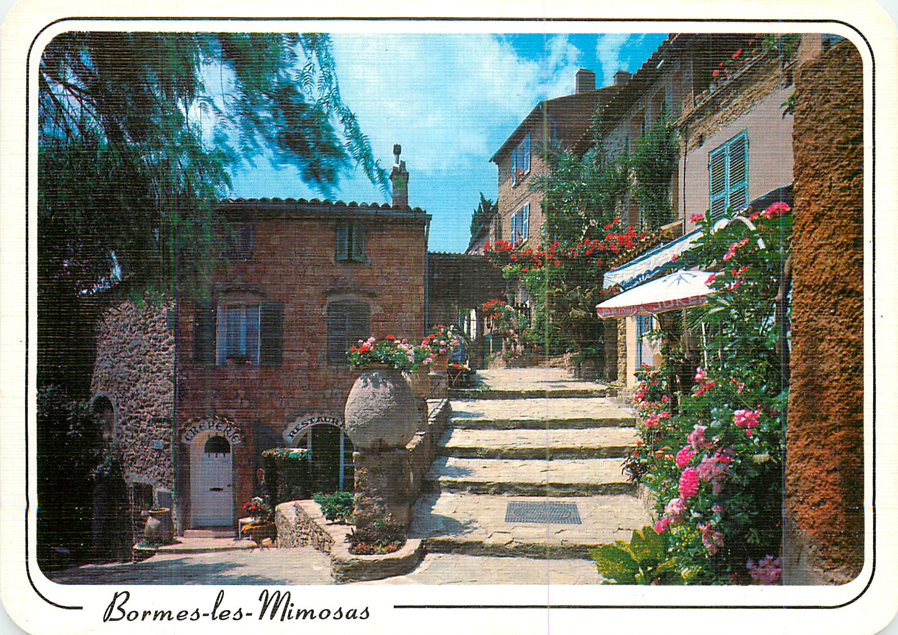 CPM Bormes les Mimosas (Var) la Cote des Maures