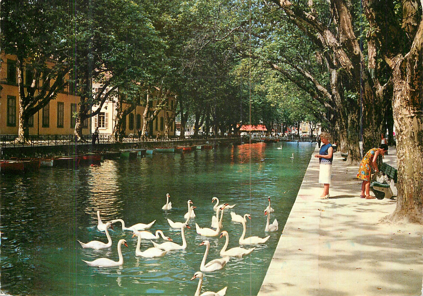 CPM Annecy (Hte Savoie) le Canal et ses Cygnes