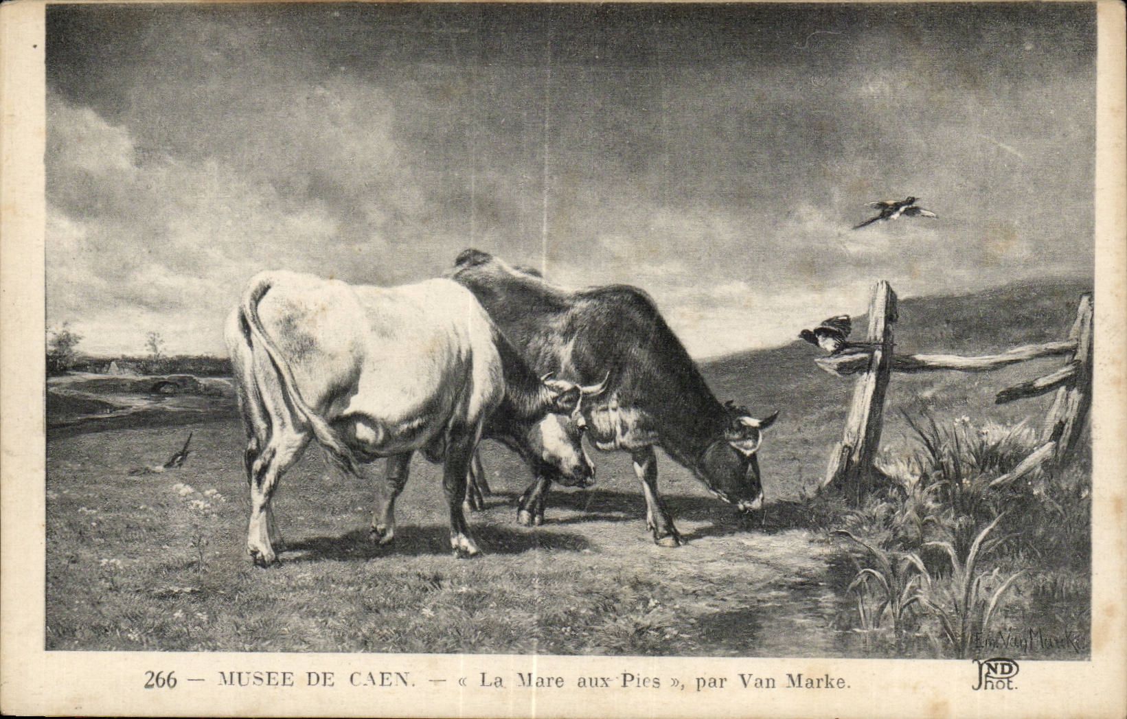 Musee de Caen — « La Mare aux Pies », par Van Marke
