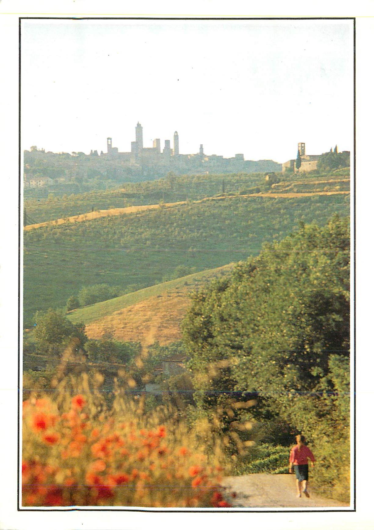 CPM San Gimignano (Siena) Panorama Raccourci Pittoresque