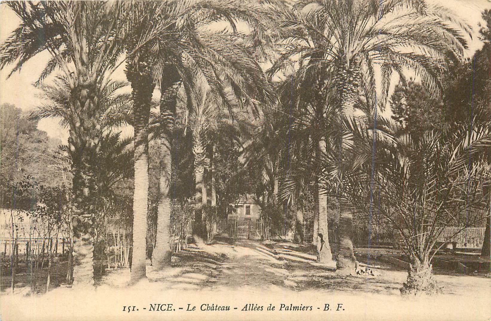 CPA Nice le Chateau Allees de Palmiers