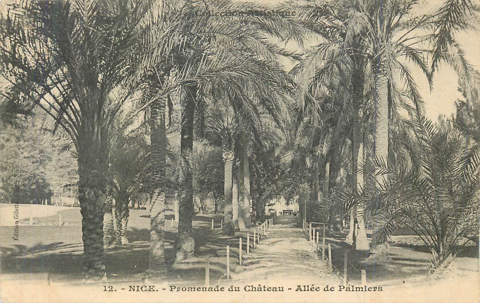 CPA Nice Promenade du Chateau Allee de Palmiers