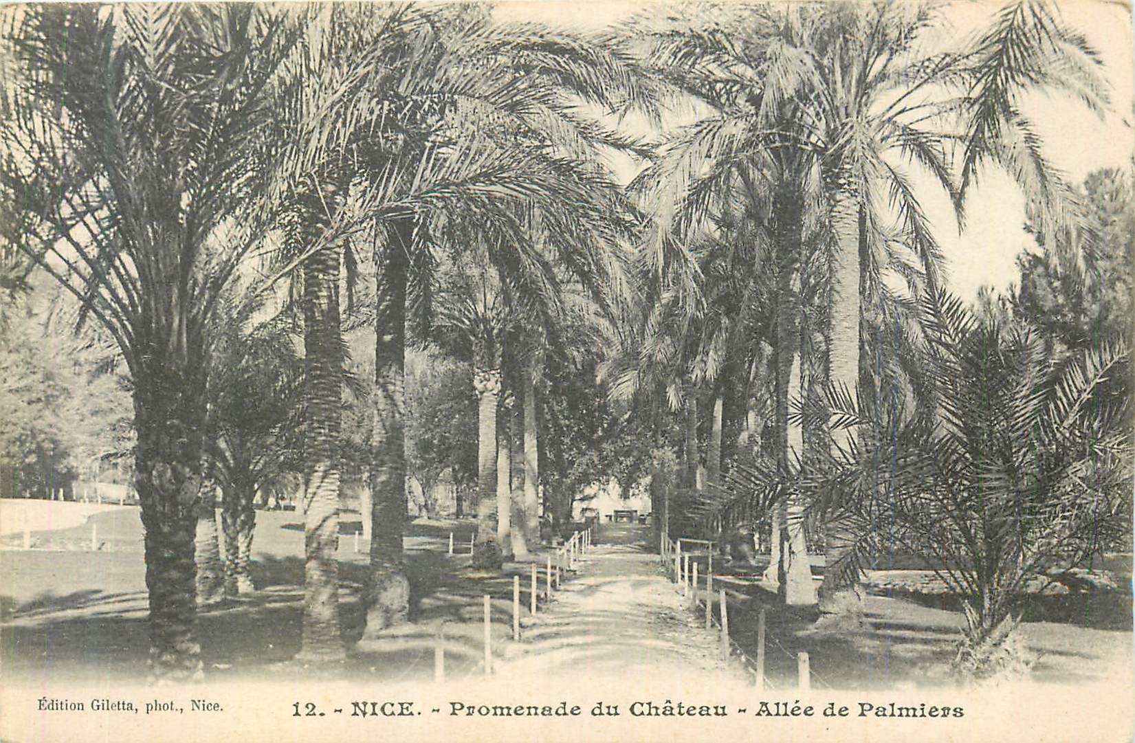 CPA Nice Promenade du Chateau Allee de Palmiers
