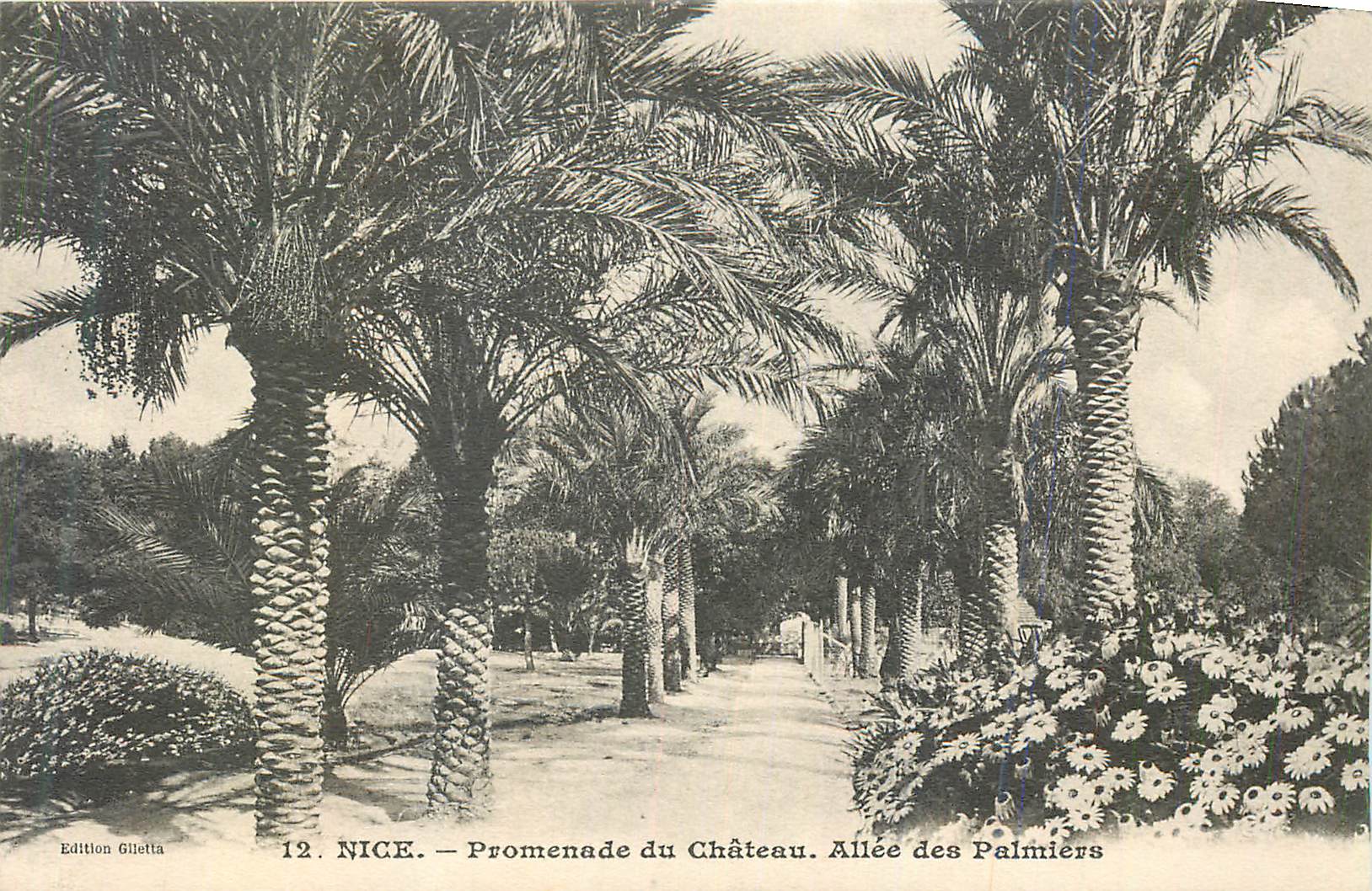 CPA Nice Promenade du Chateau Allee des Palmiers