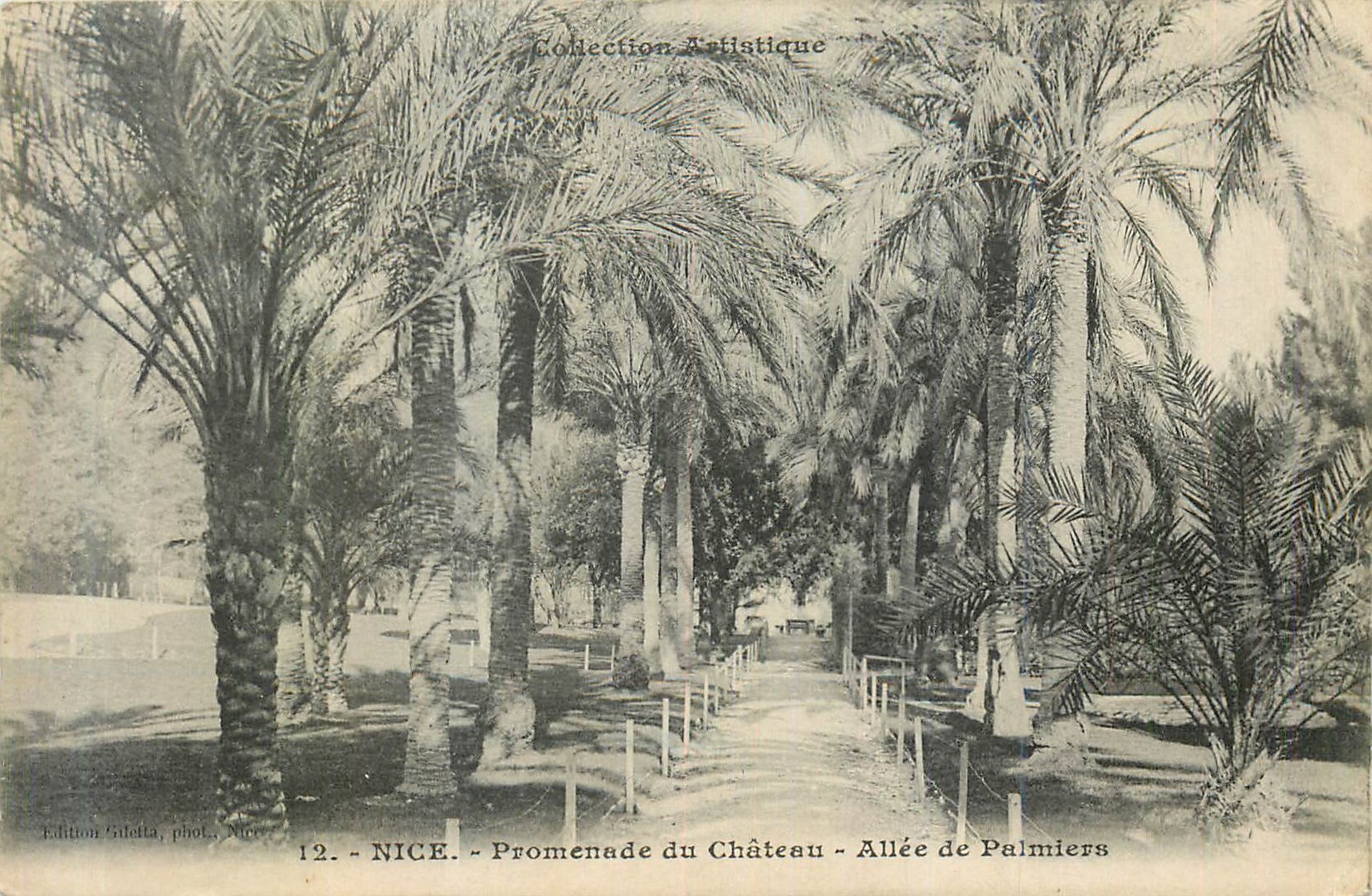 CPA Nice Promenade du Chateau Allee de Palmiers