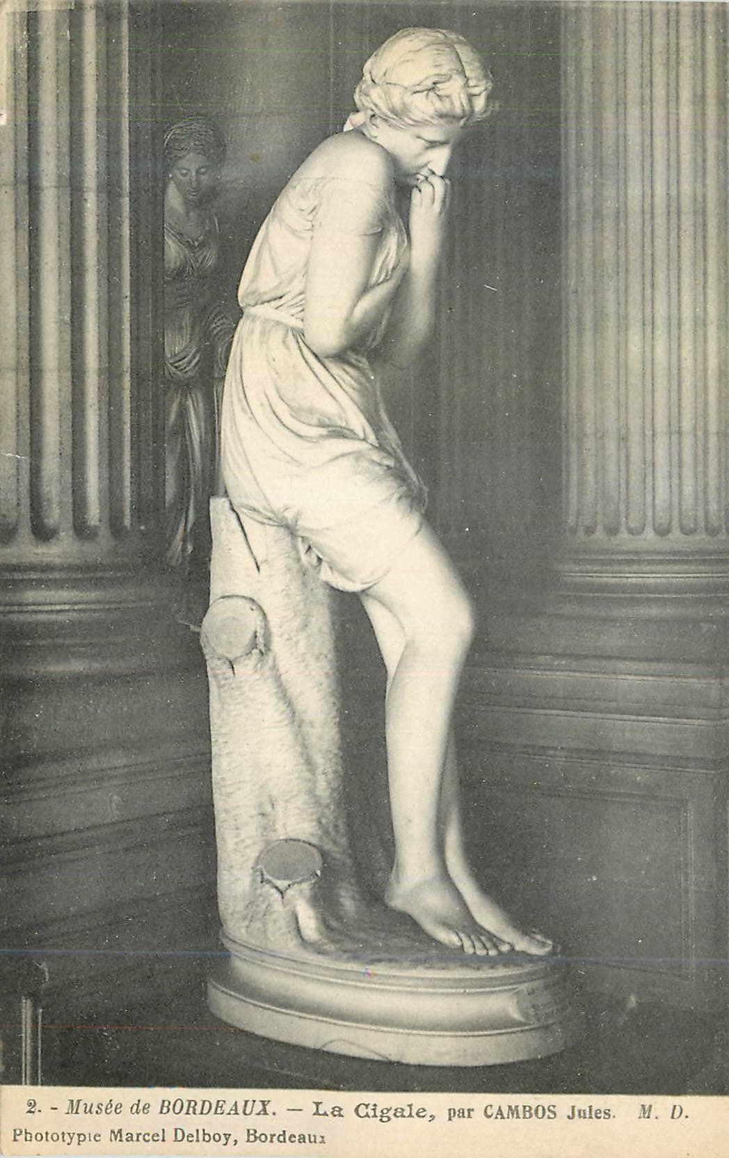 CPA Musee de Bordeaux la Cigale