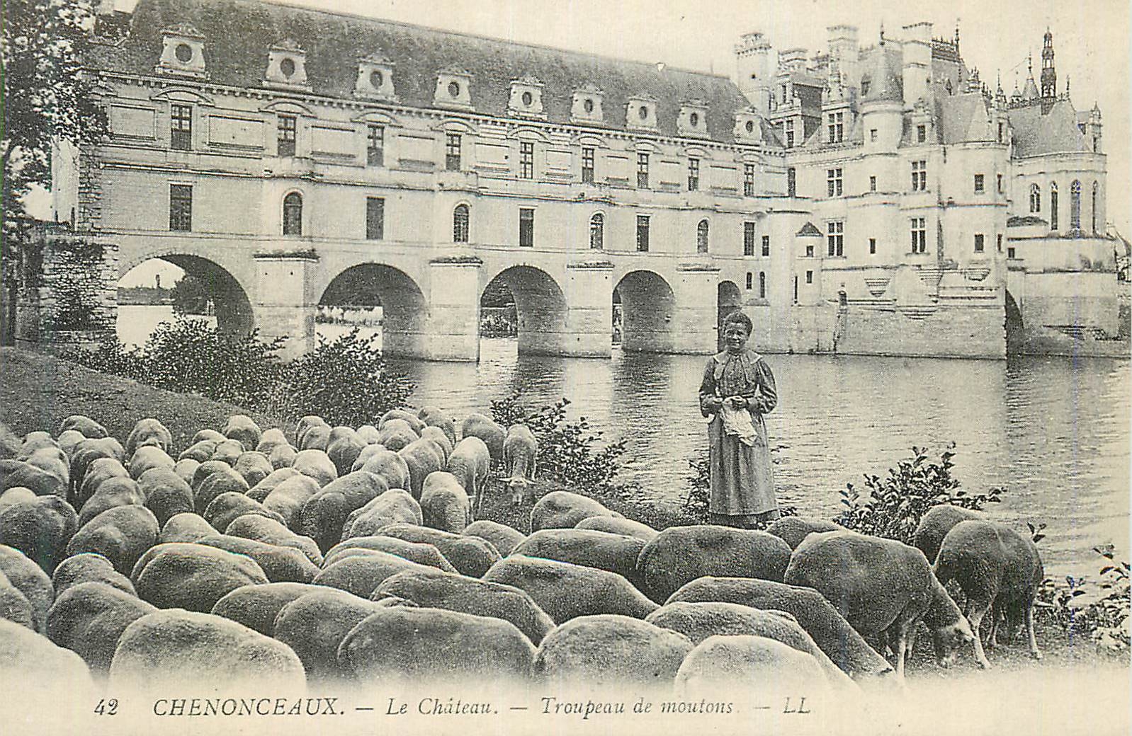 REPRO Chenonceaux Le Chateau Troupeau de Moutons