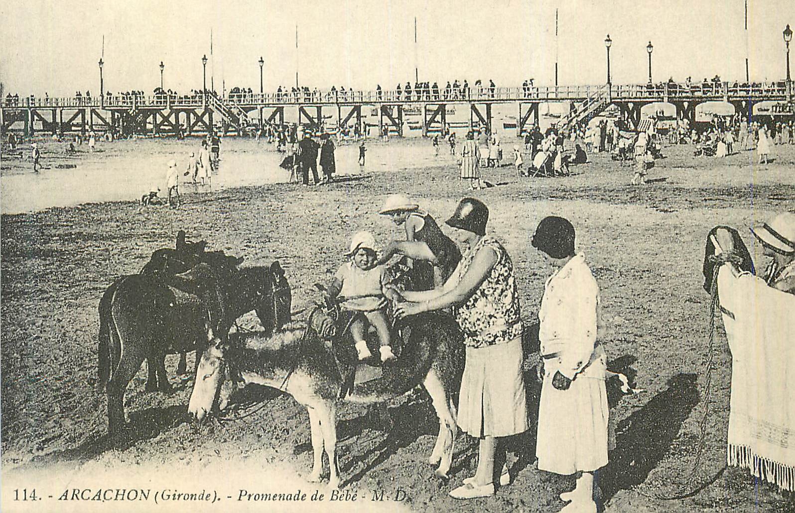REPRO Arcachon (Gironde) La Plage Promenade de Bebe Ane Donkey