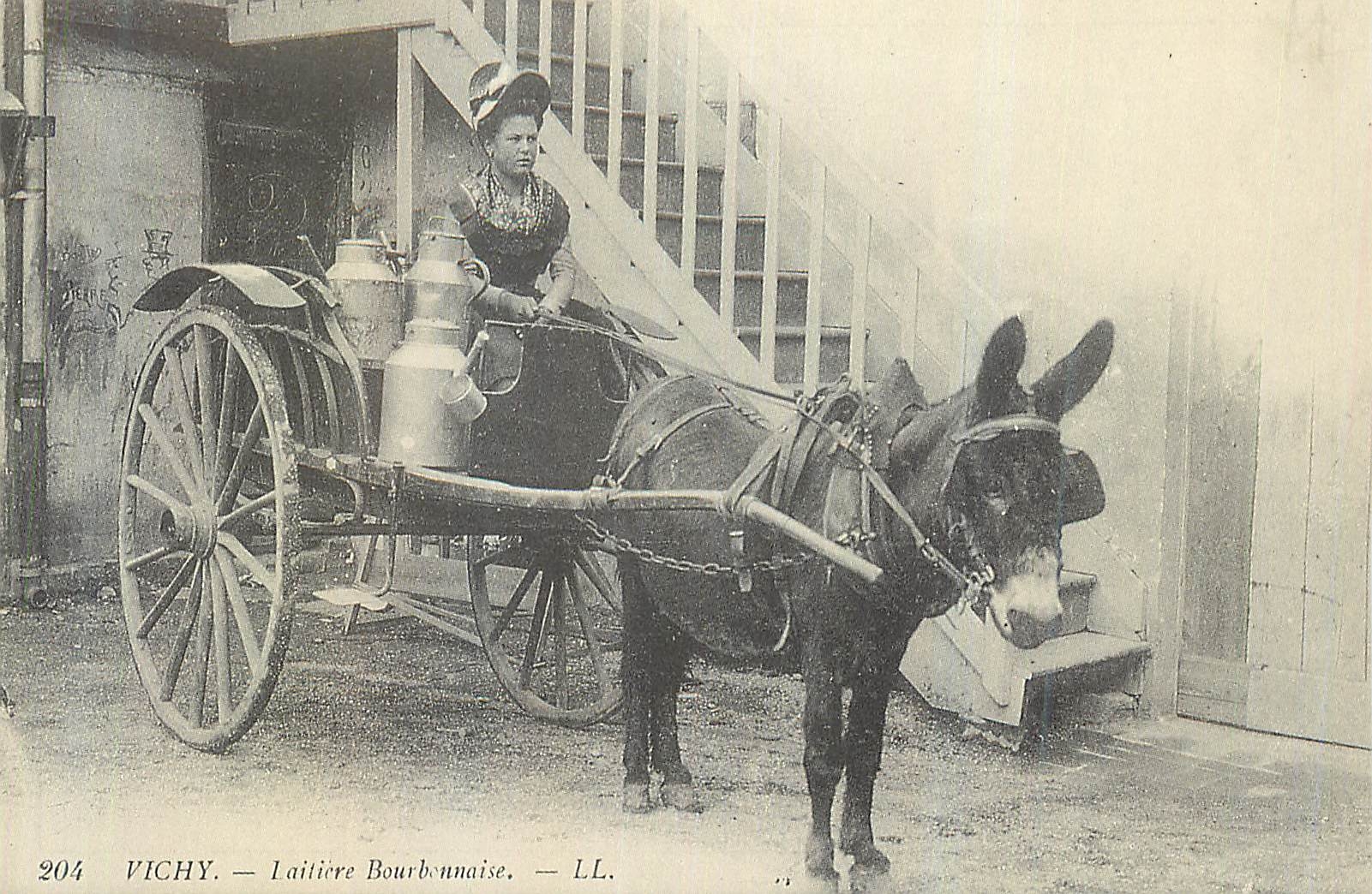 REPRO Vichy Laitiere Boubonnaise Ane Donkey