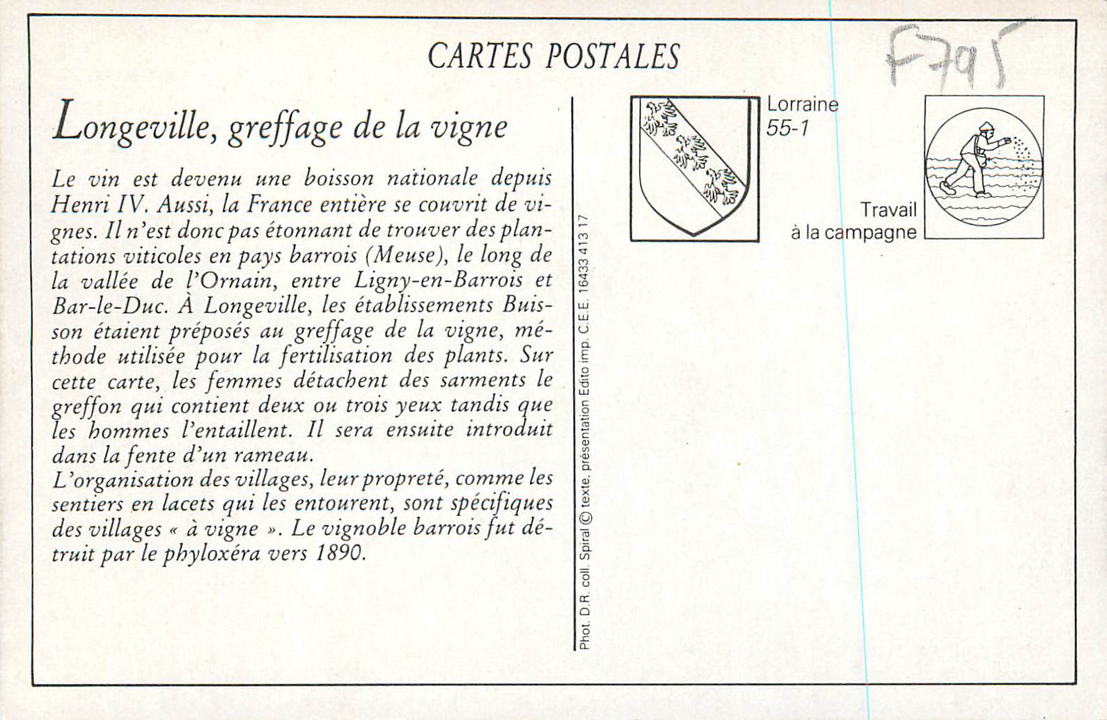 REPRO Longeville (Meuse) Greffage de la Vigne — Back