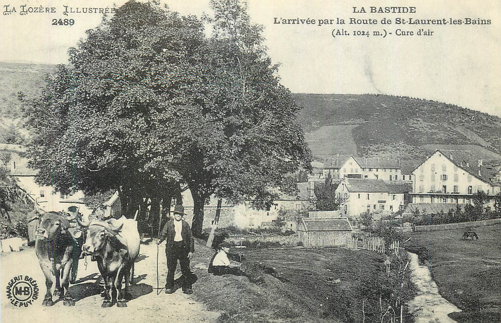 La Bastide — L'arrivée par la Route de St-Laurent-les-Bains (Alt. 1024 m.) — Cure d'air — La Lozère Illustrée n°2489