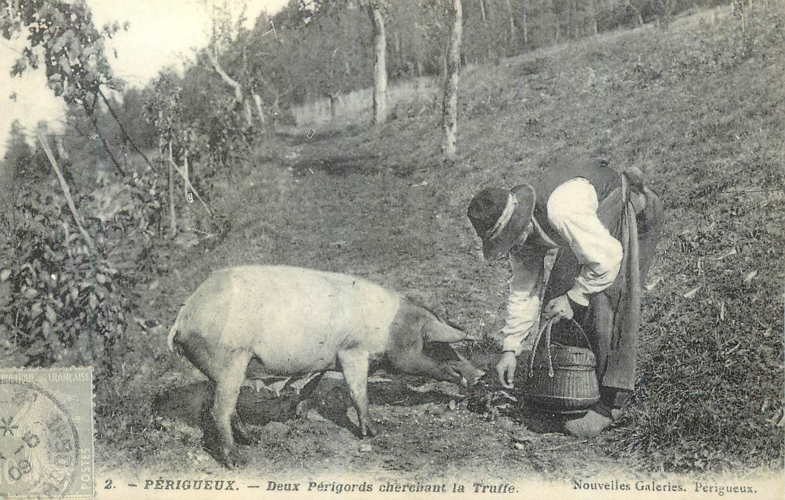 Périgueux — Zwei Périgords auf Trüffelsuche — Nouvelles Galeries, Périgueux