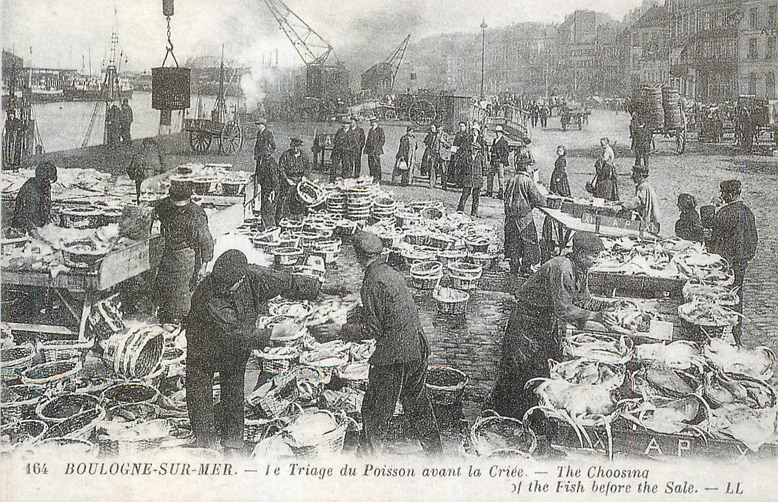 Boulogne-sur-Mer — Le Triage du Poisson avant la Criée — Artois Industrie