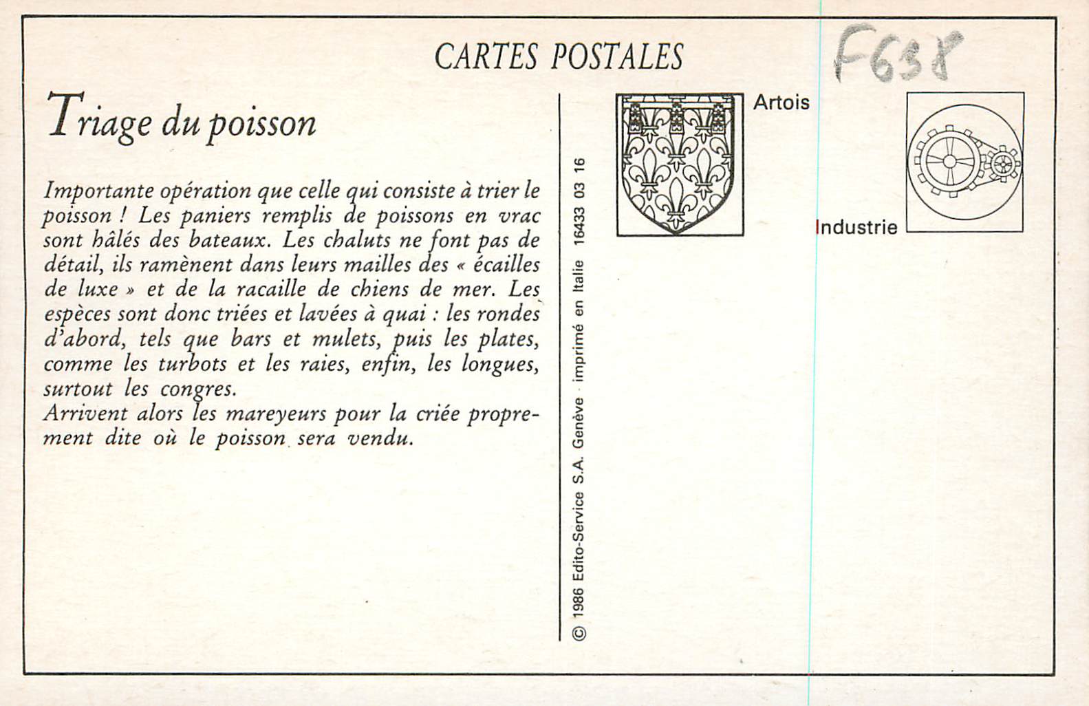 Boulogne-sur-Mer — Le Triage du Poisson avant la Criée — Artois Industrie — Reverso