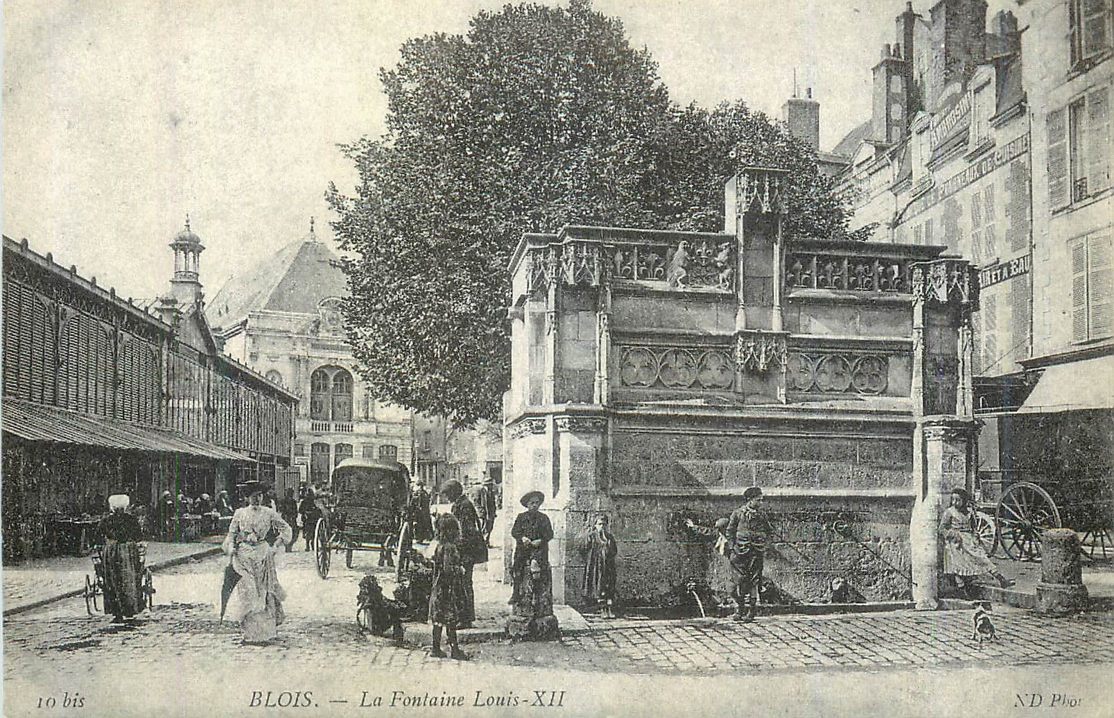 REPRO Blois la Fontaine Louis XII