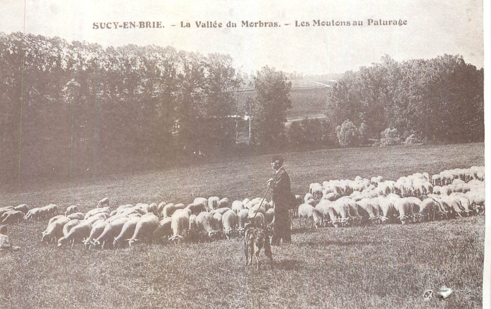 CPA REPRO en Brie la Vallee du Morbras