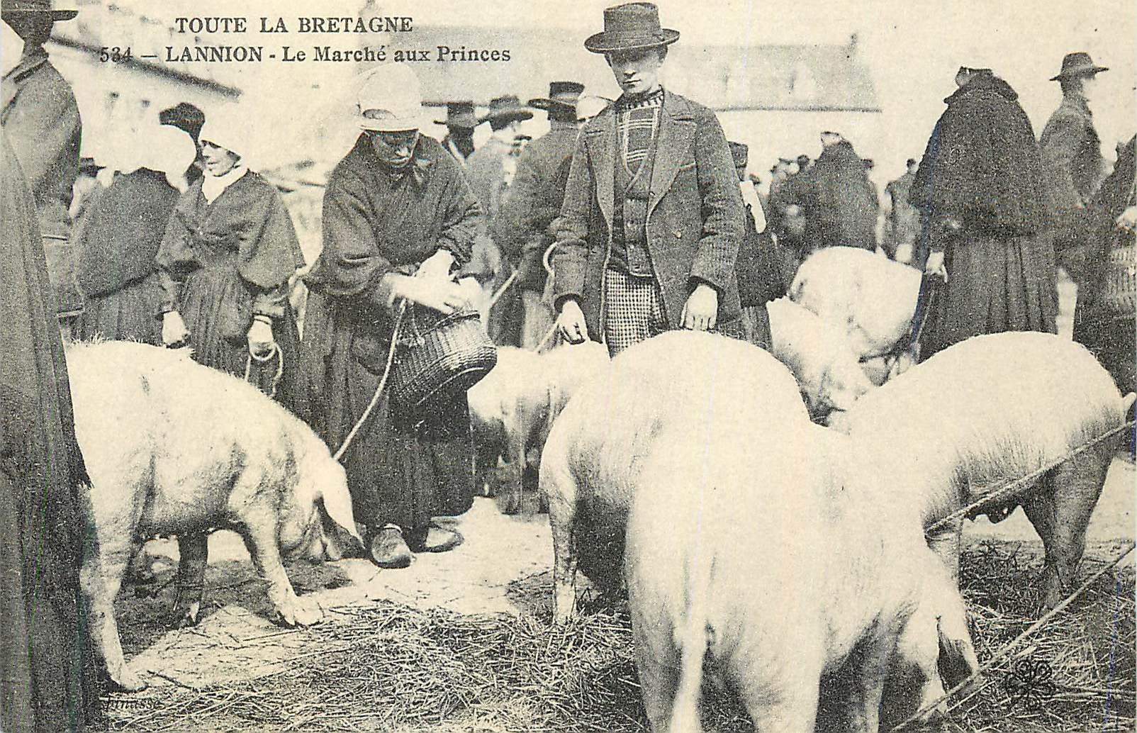 REPRO Nannilon Toute la Bretagne Le Marche aux Princes Porc Cochon