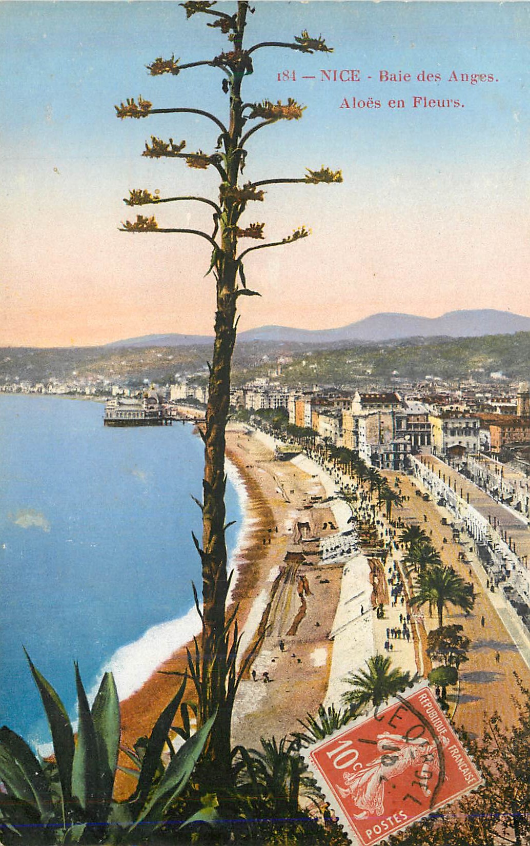 CPA Nice Baie des Angers Aloes en Fleurs